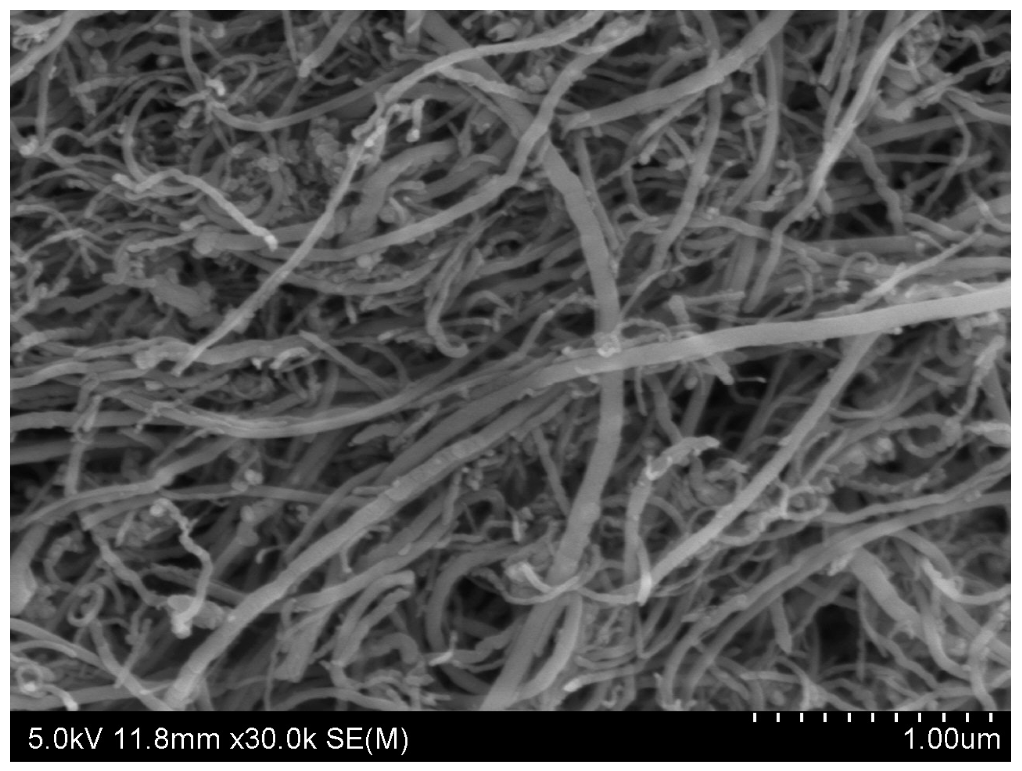 Nanomaterials 06 00153 g007