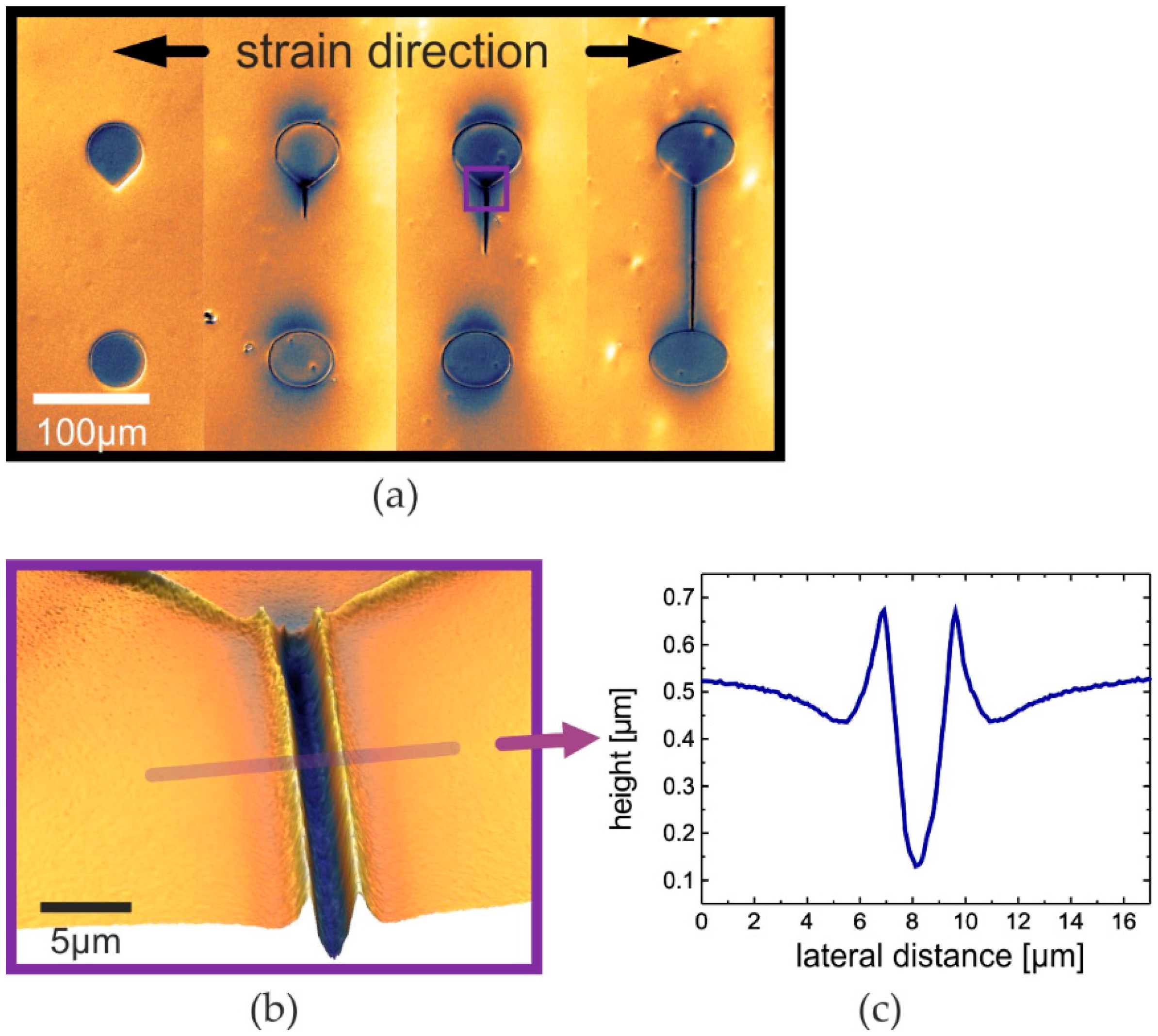 Nanomaterials 06 00168 g001