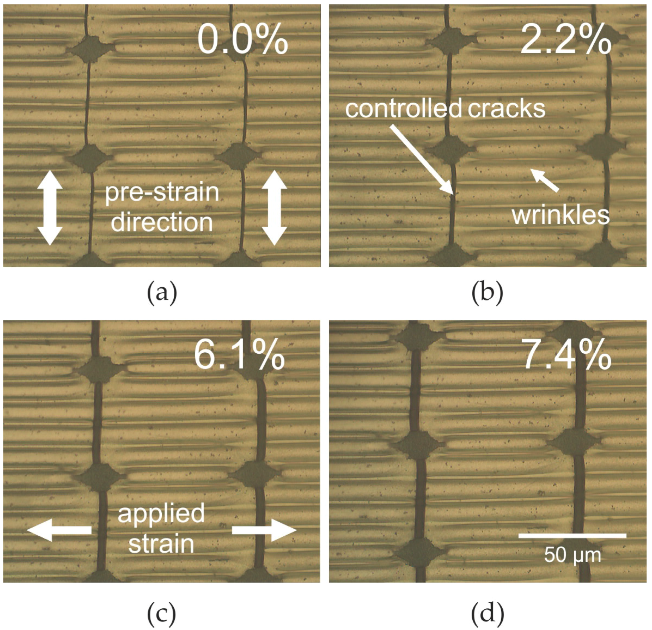 Nanomaterials 06 00168 g006