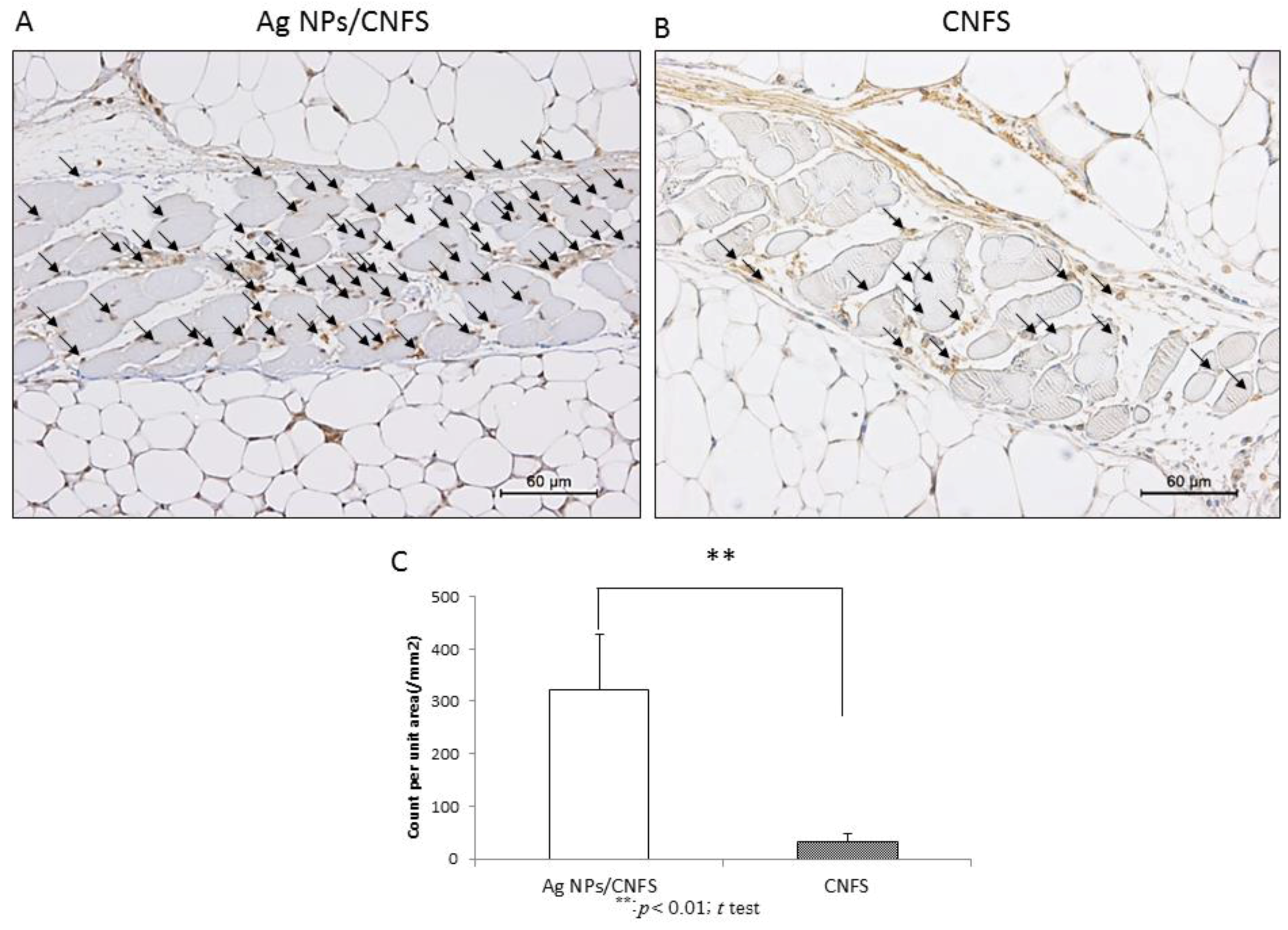 Nanomaterials 06 00189 g005