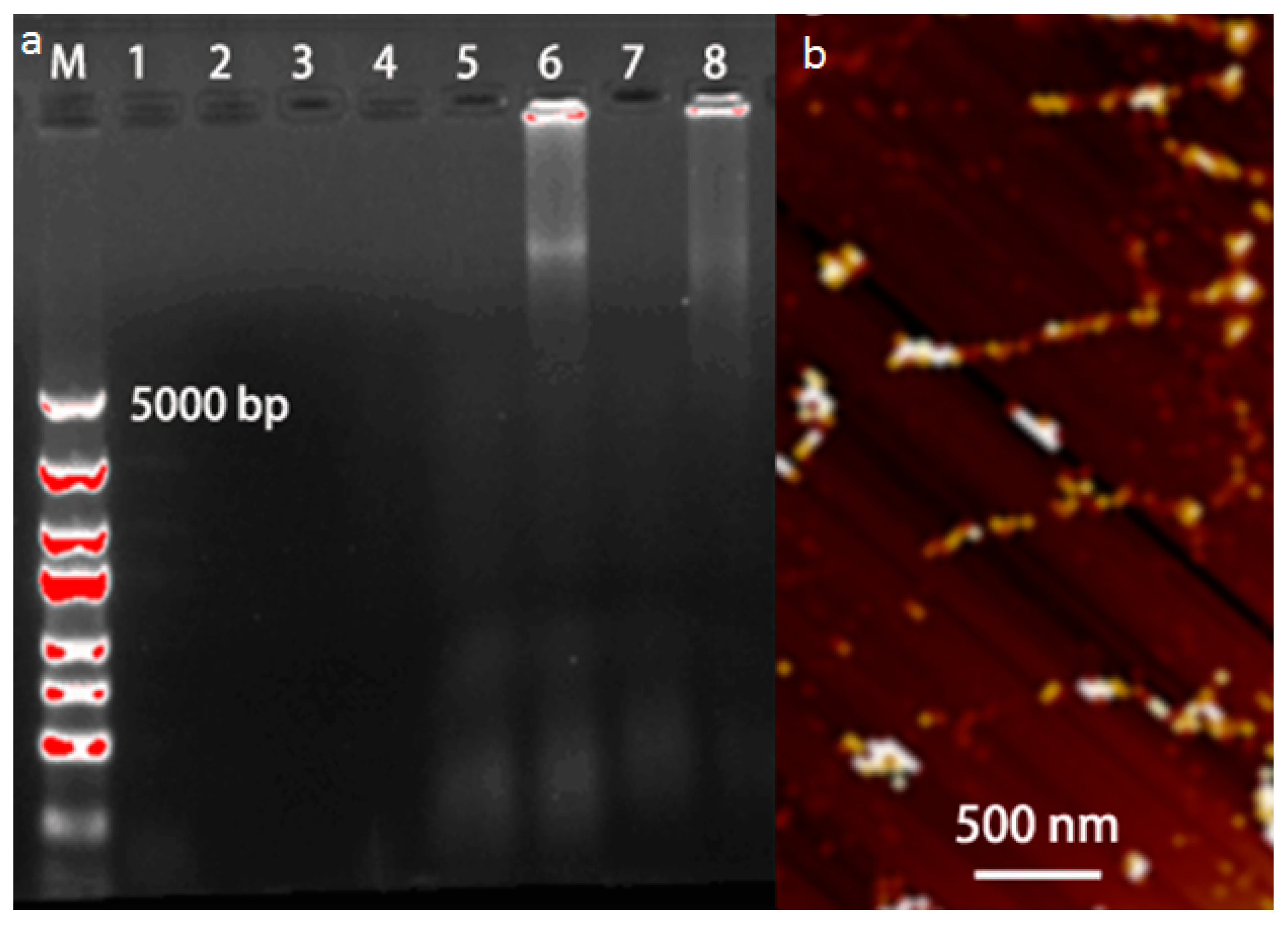 Nanomaterials 06 00190 g003