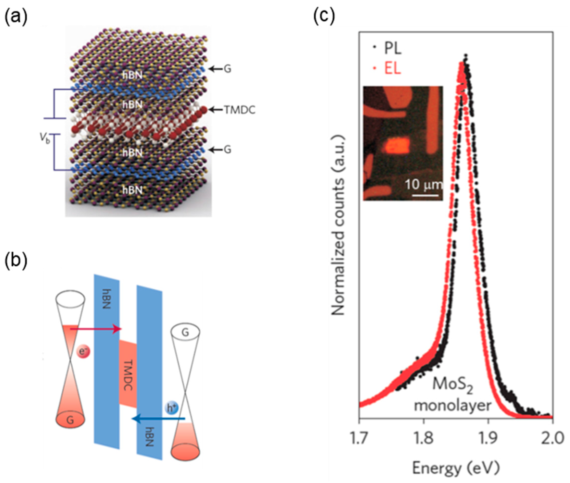 Nanomaterials 06 00193 g008