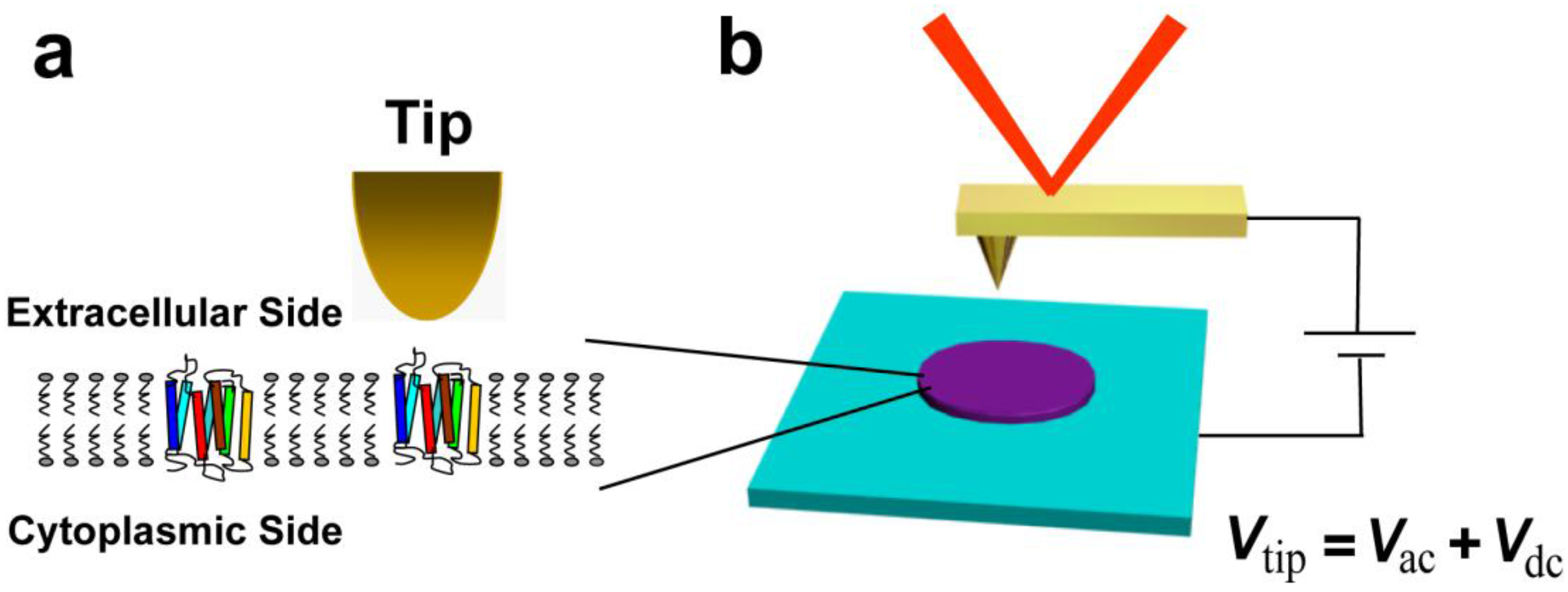 Nanomaterials 06 00197 g001