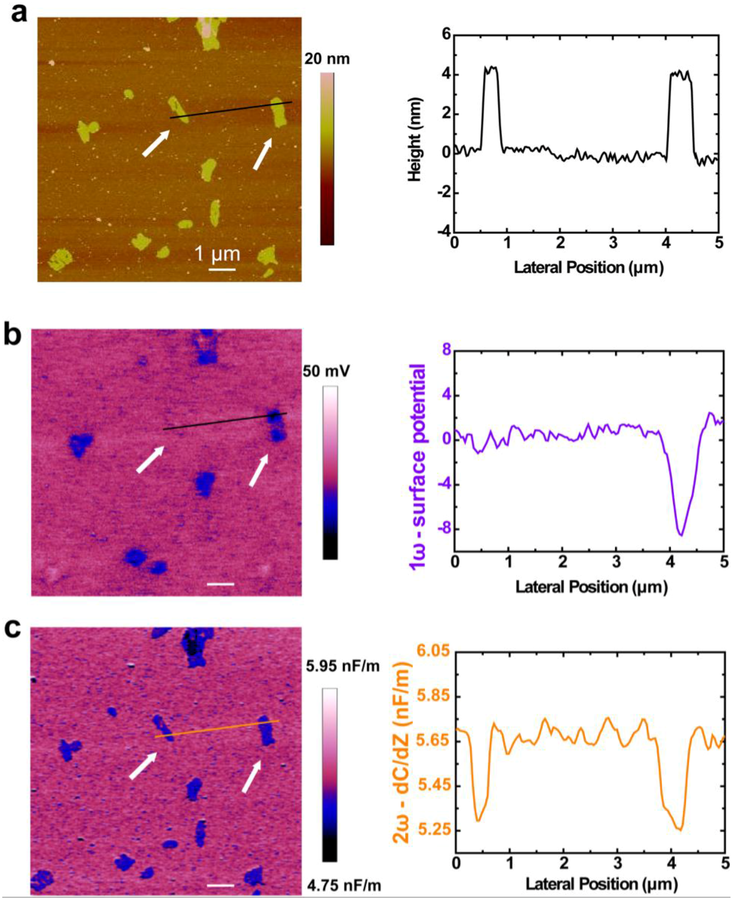 Nanomaterials 06 00197 g003