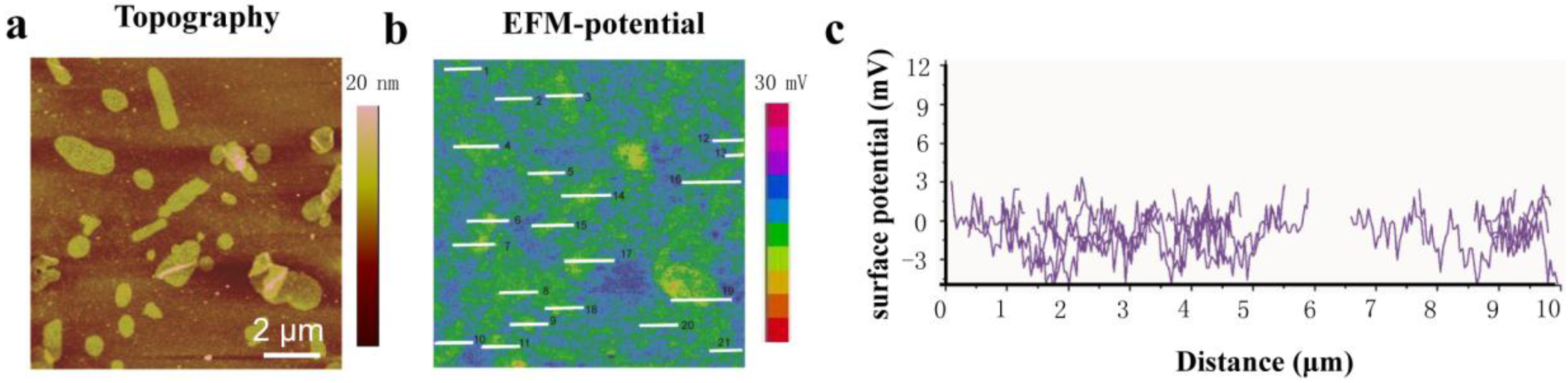 Nanomaterials 06 00197 g005