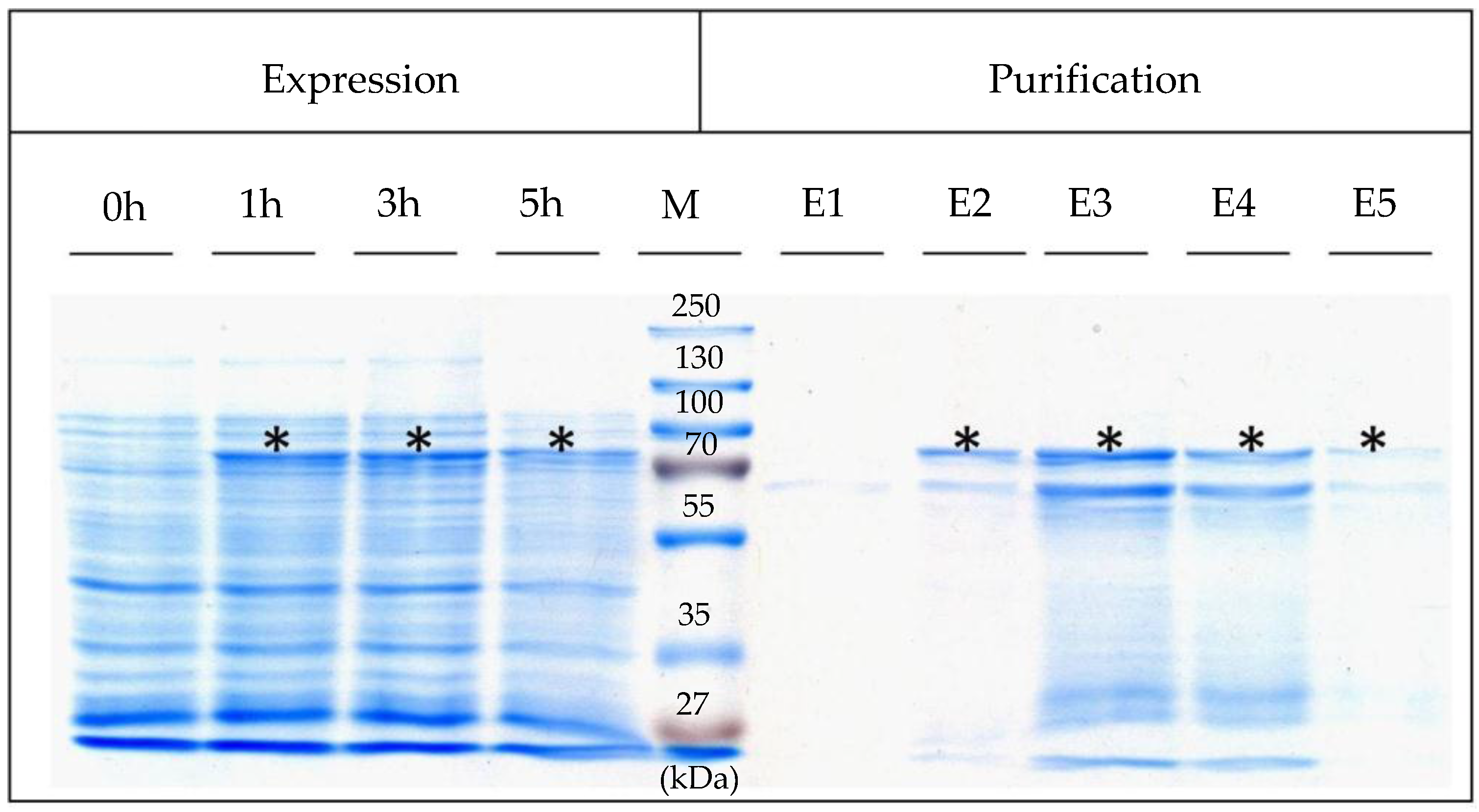 Nanomaterials 06 00199 g001 550
