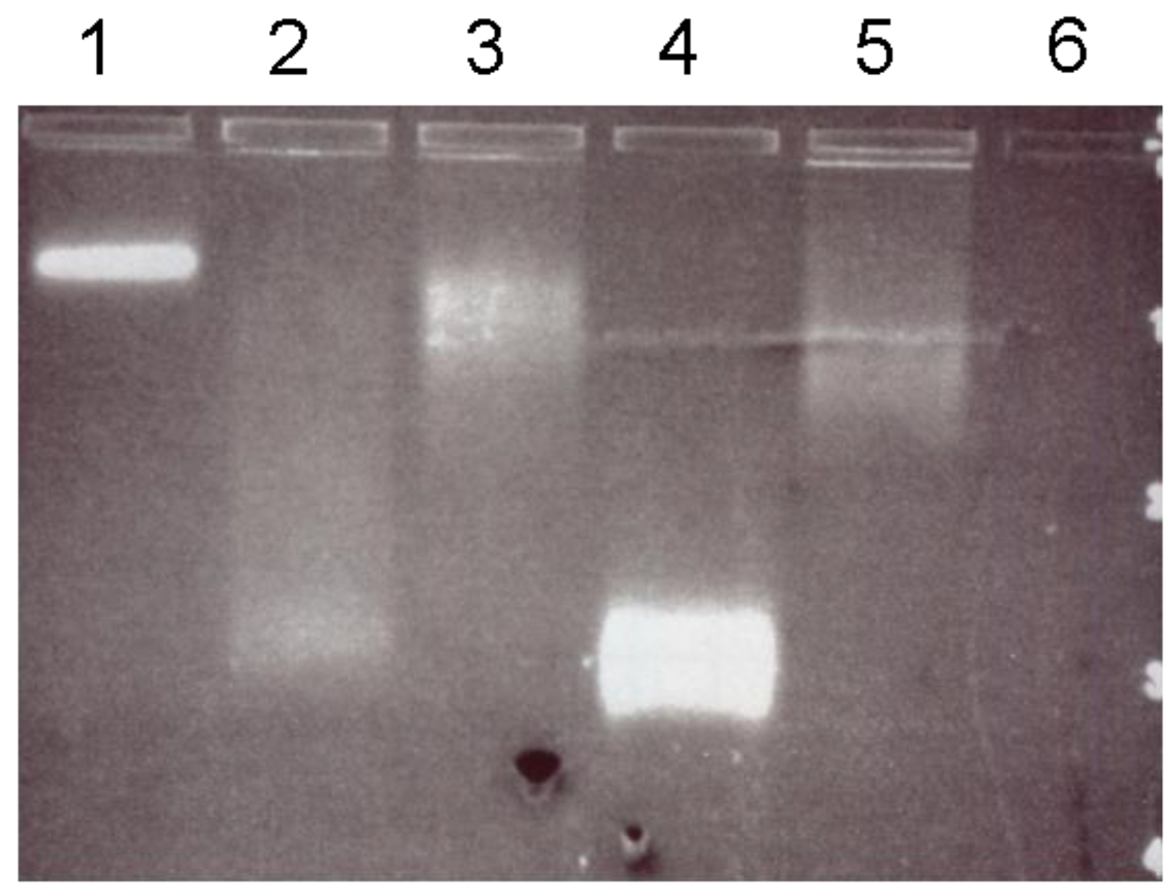Nanomaterials 06 00199 g004 550