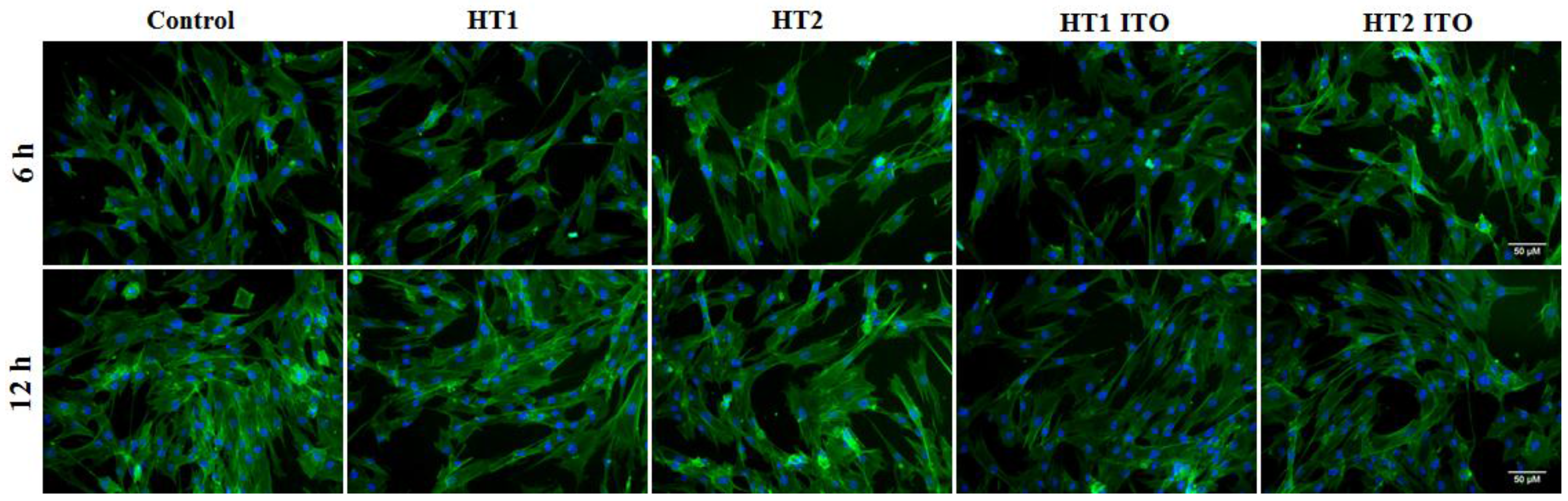 Nanomaterials 06 00214 g007