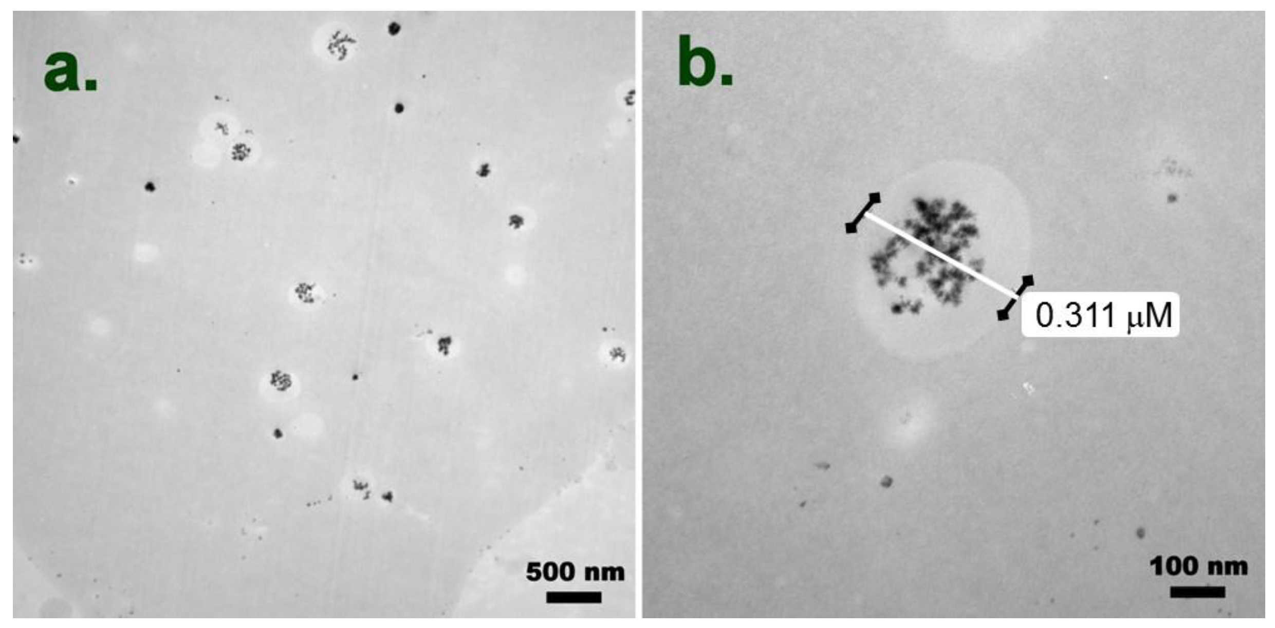 Nanomaterials 06 00223 g002 550