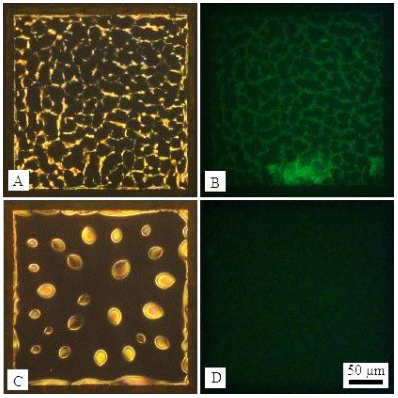 buy glutamate cell death and memory