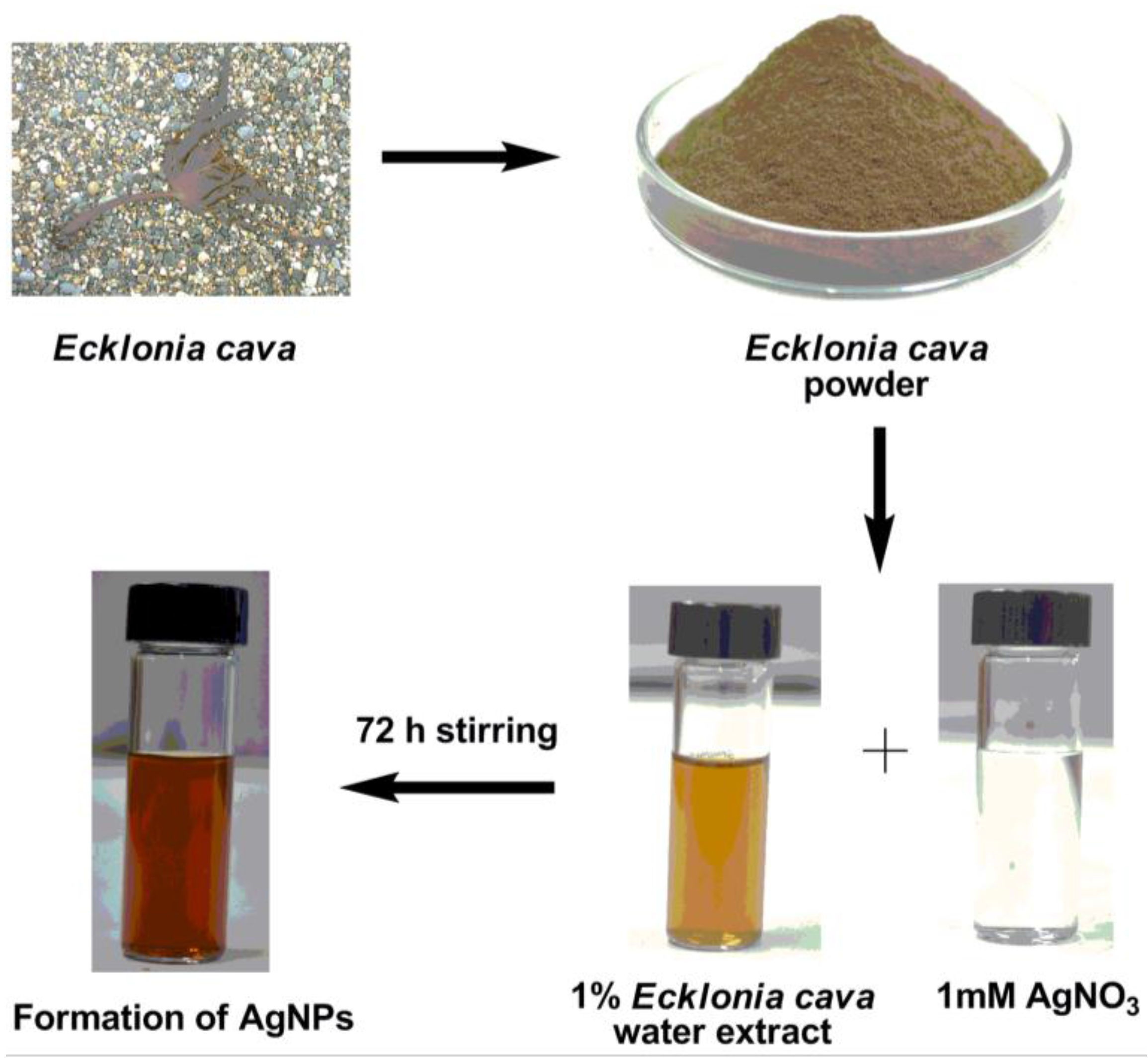 Nanomaterials 06 00235 g002 550