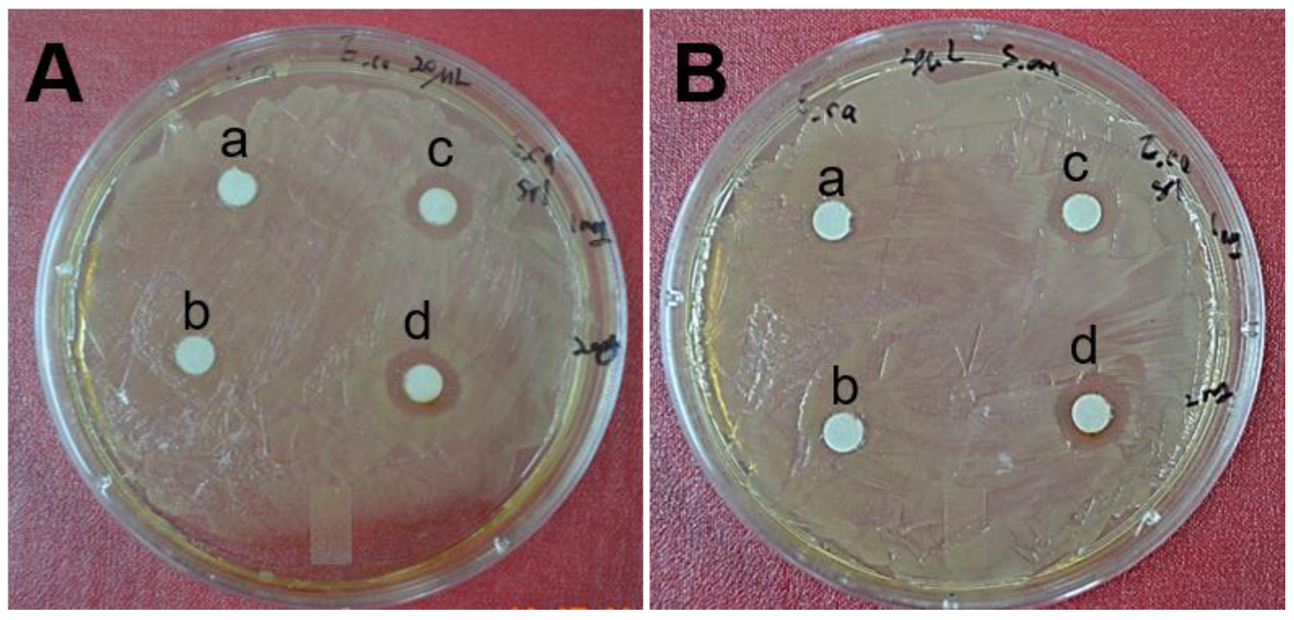 Nanomaterials 06 00235 g008 550