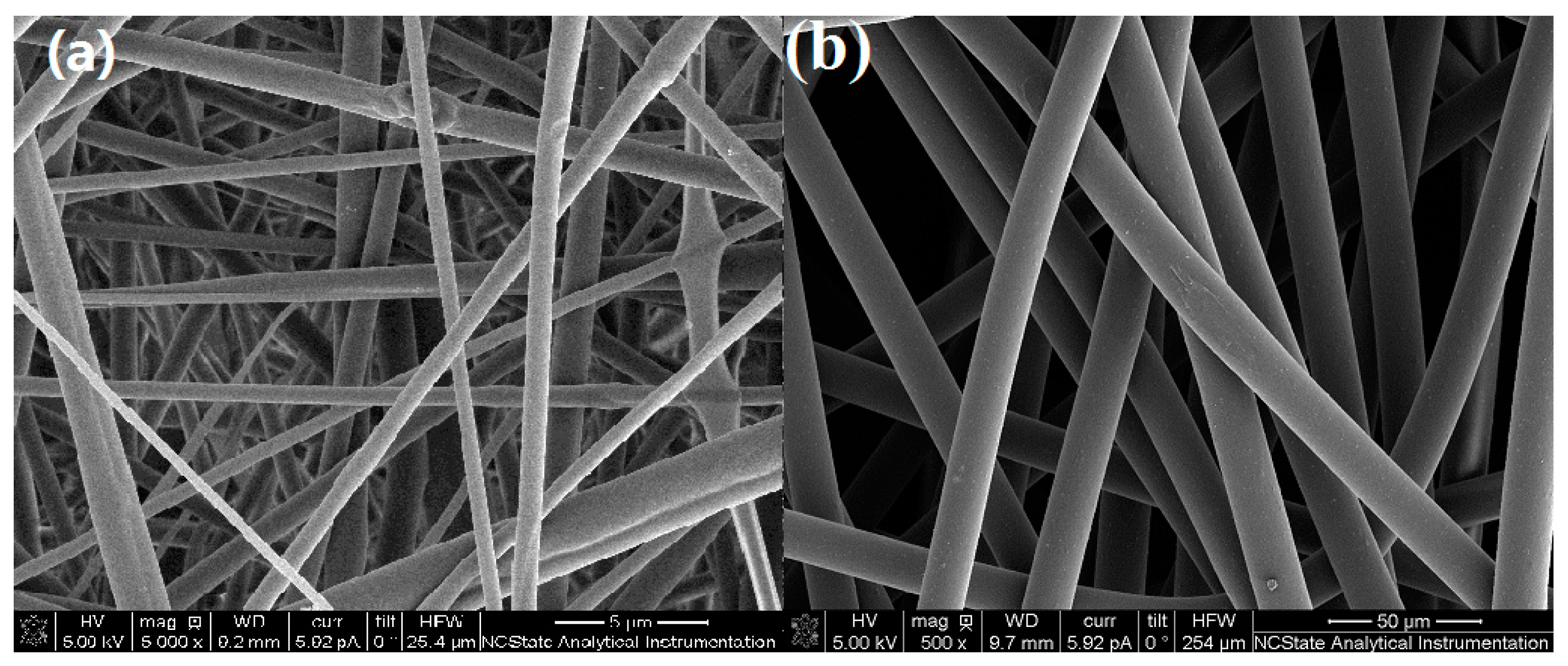 Nanomaterials 06 00243 g001 550