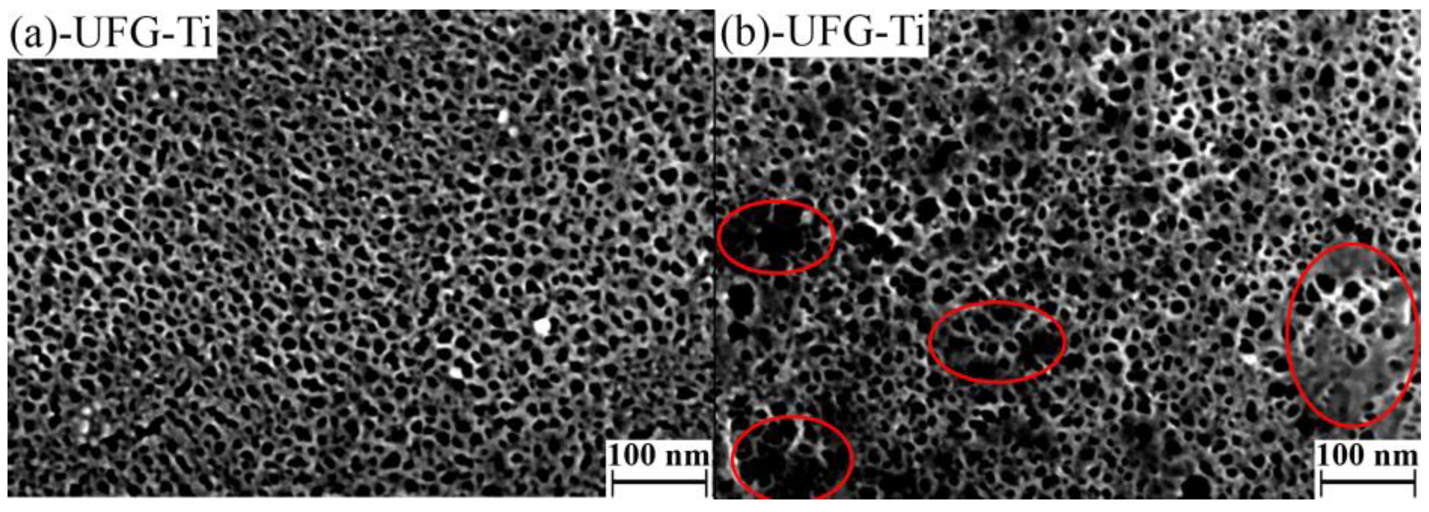 Nanomaterials 07 00015 g001 550