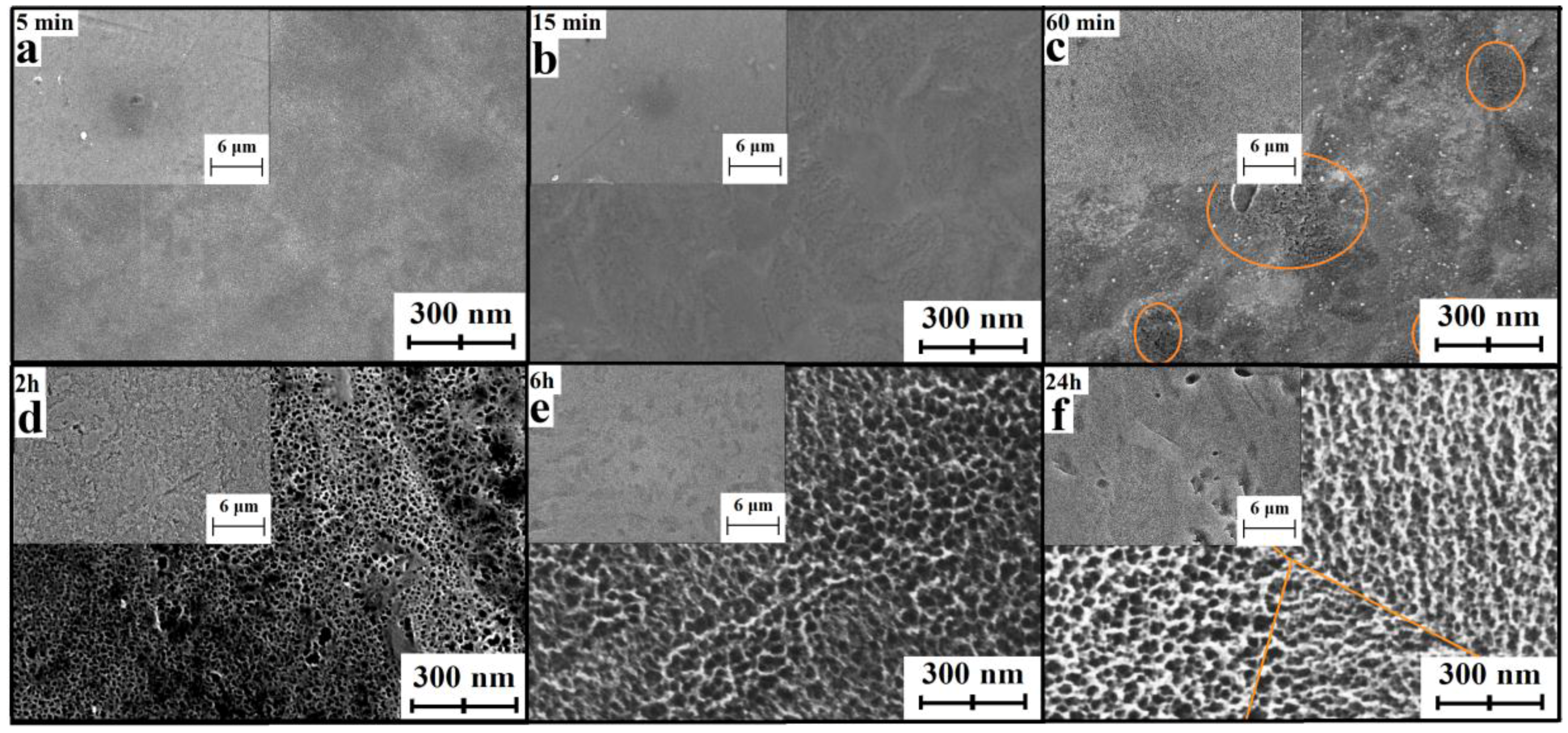 Nanomaterials 07 00015 g003 550