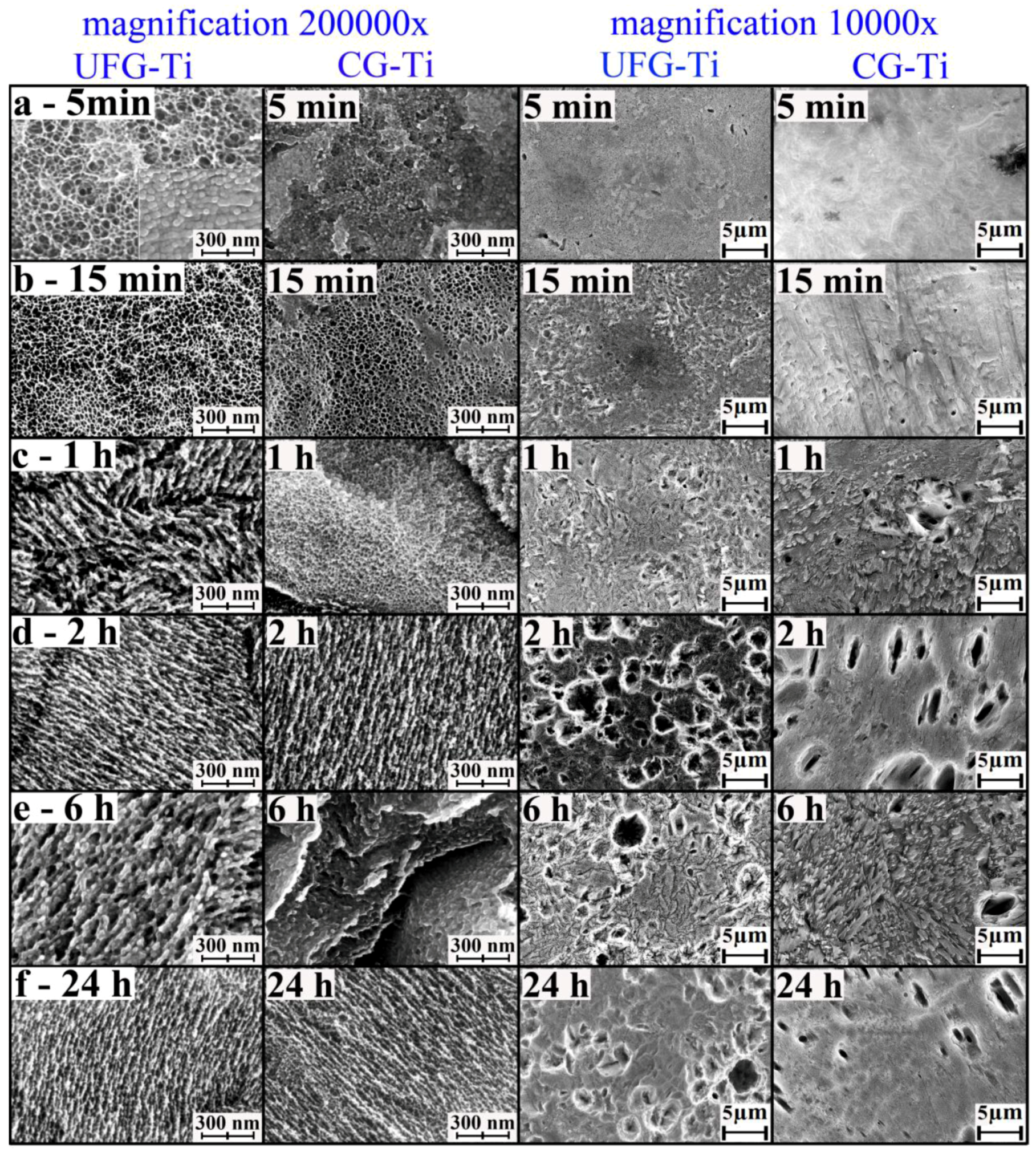 Nanomaterials 07 00015 g004 550