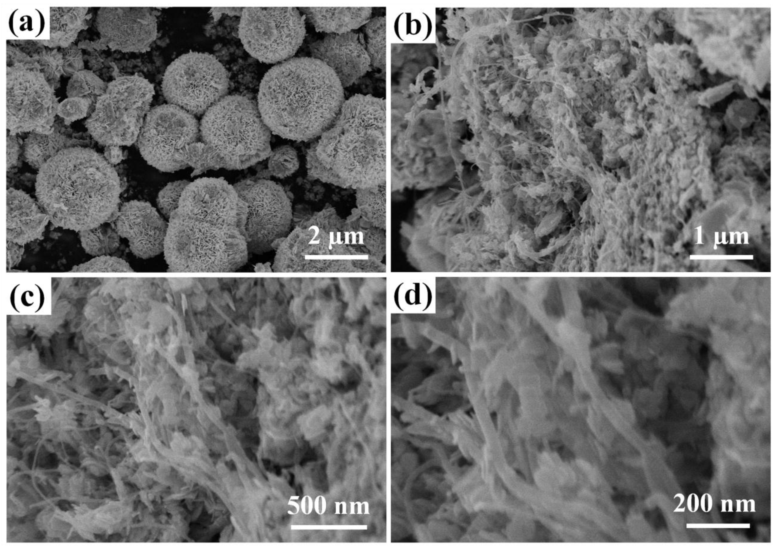 Nanomaterials 07 00022 g002 550