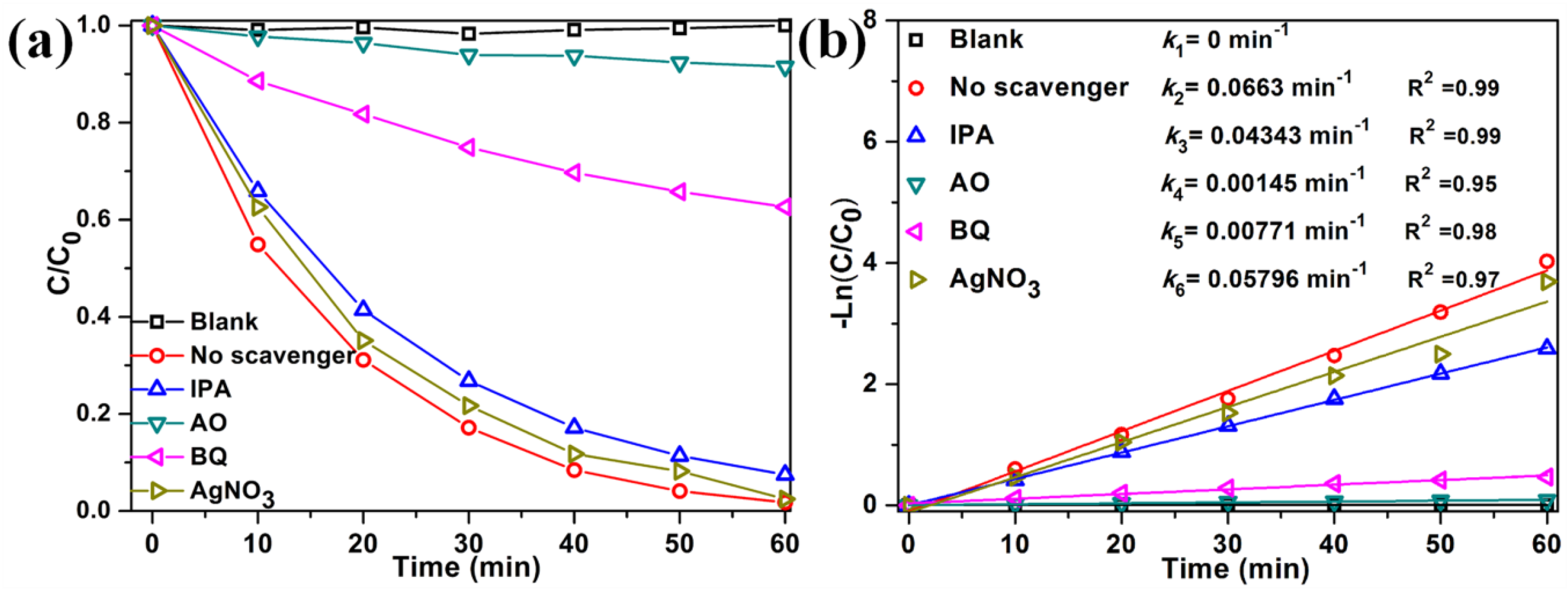 Nanomaterials 07 00022 g010 550