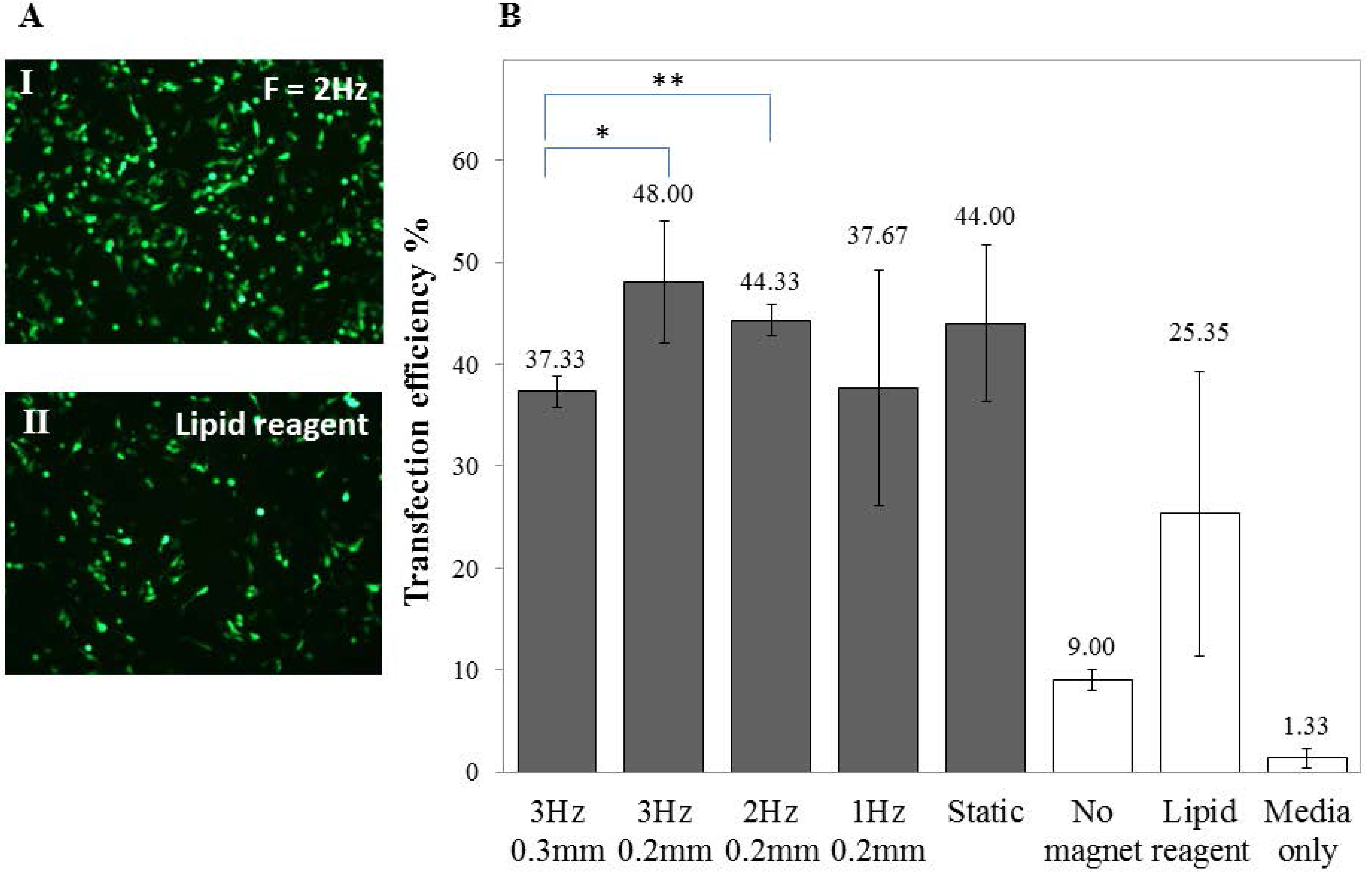 Nanomaterials 07 00028 g003