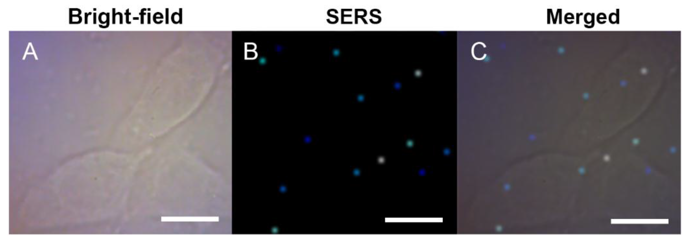 Nanomaterials 07 00070 g004a 550
