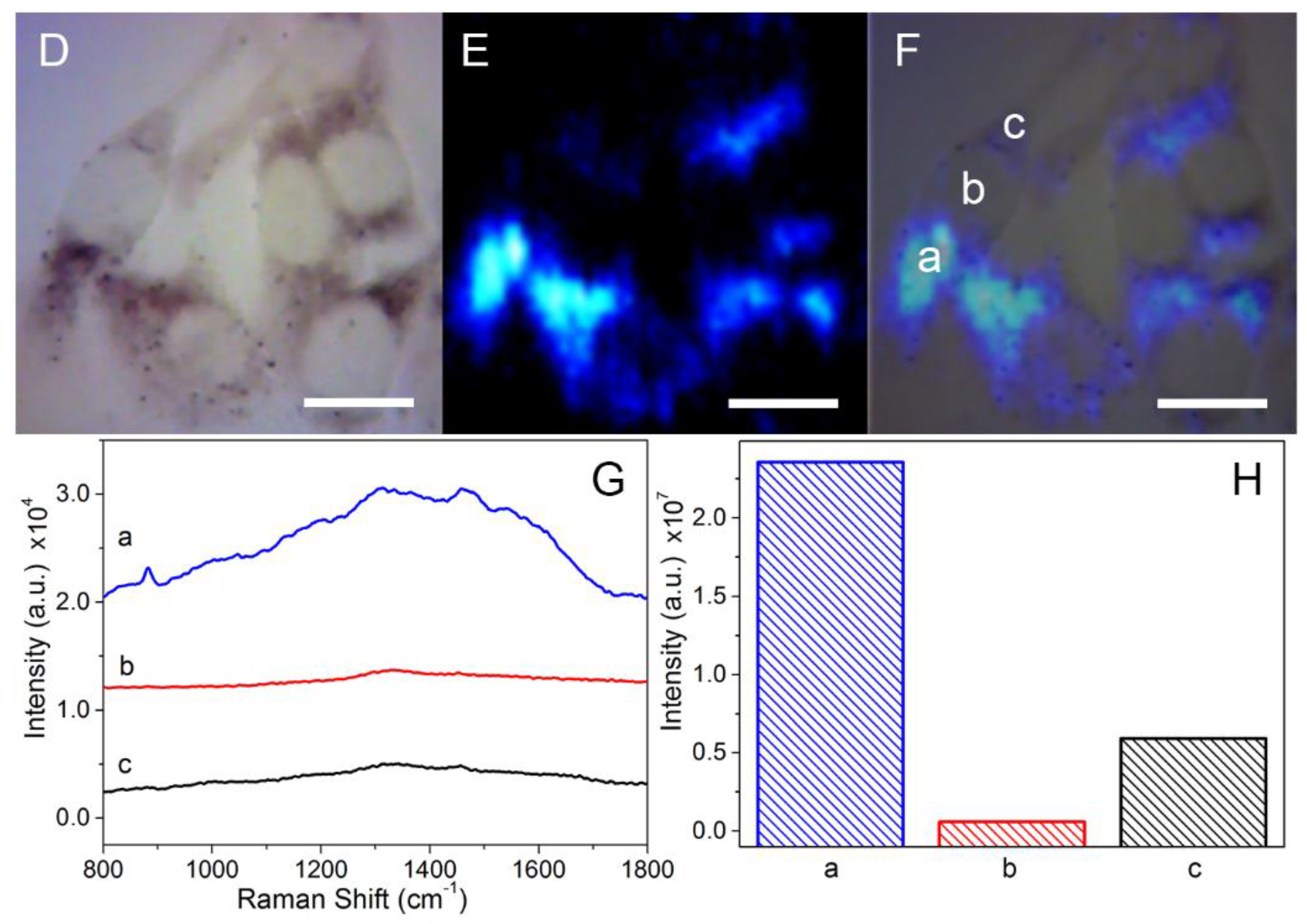 Nanomaterials 07 00070 g004b 550