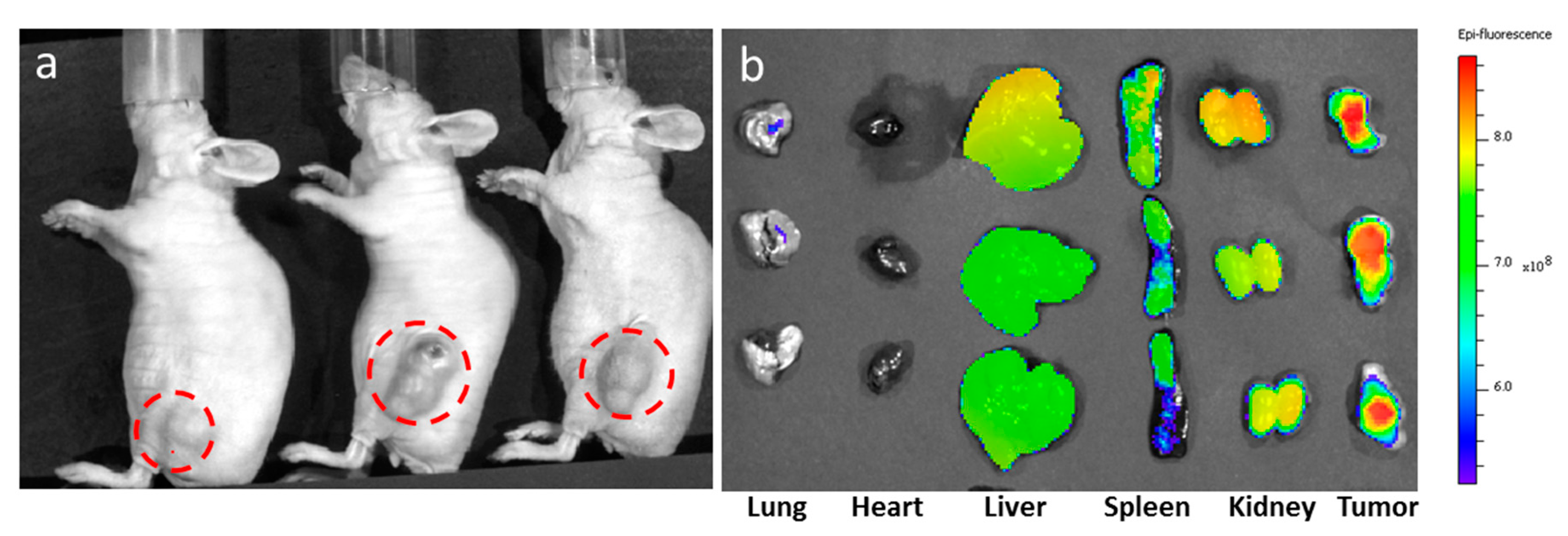 Nanomaterials 07 00072 g004