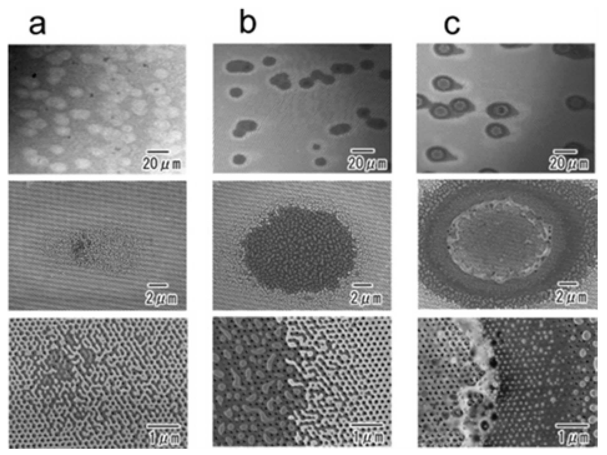 Nanomaterials 07 00075 g007
