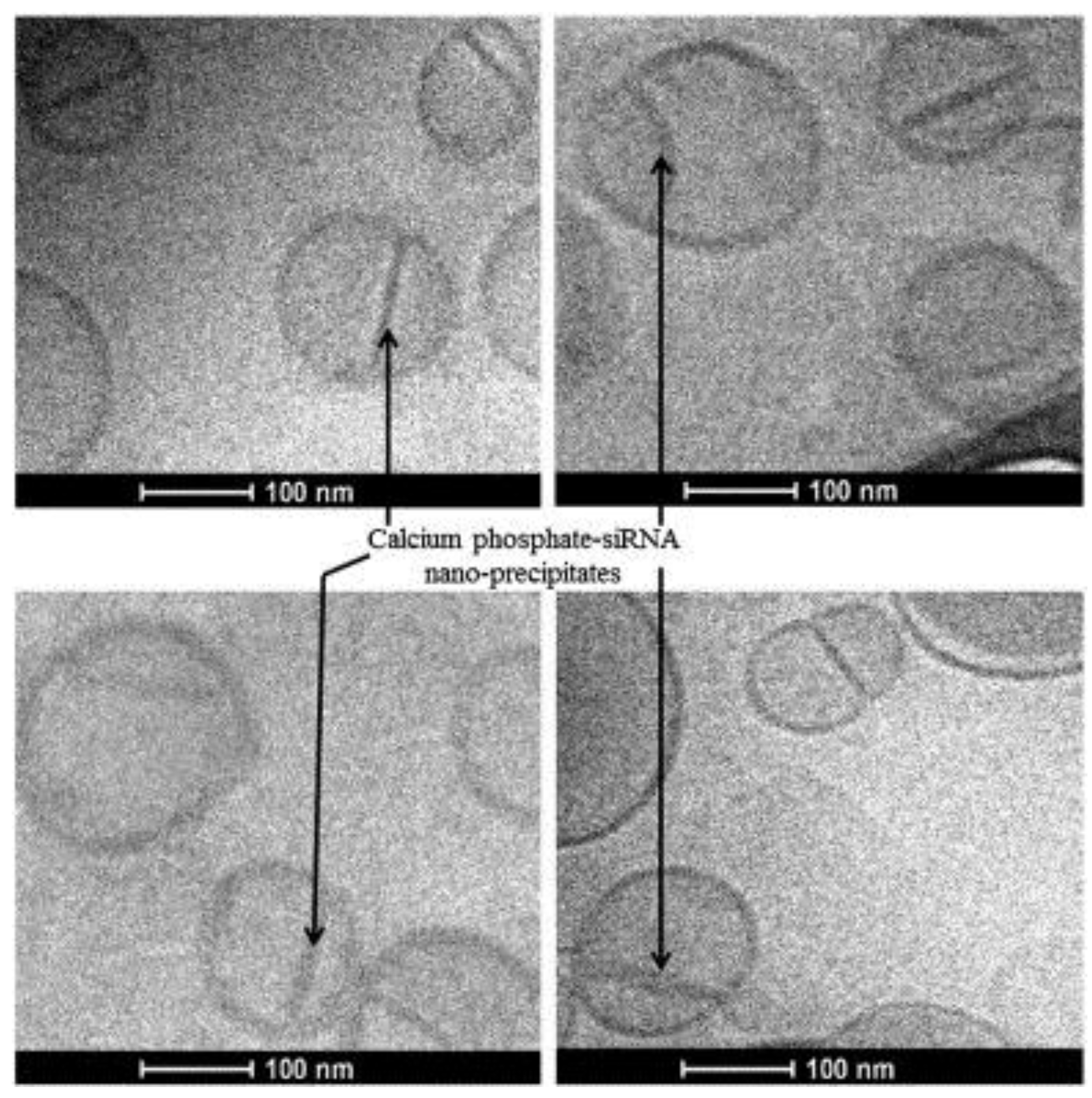 Nanomaterials 07 00094 g005 550