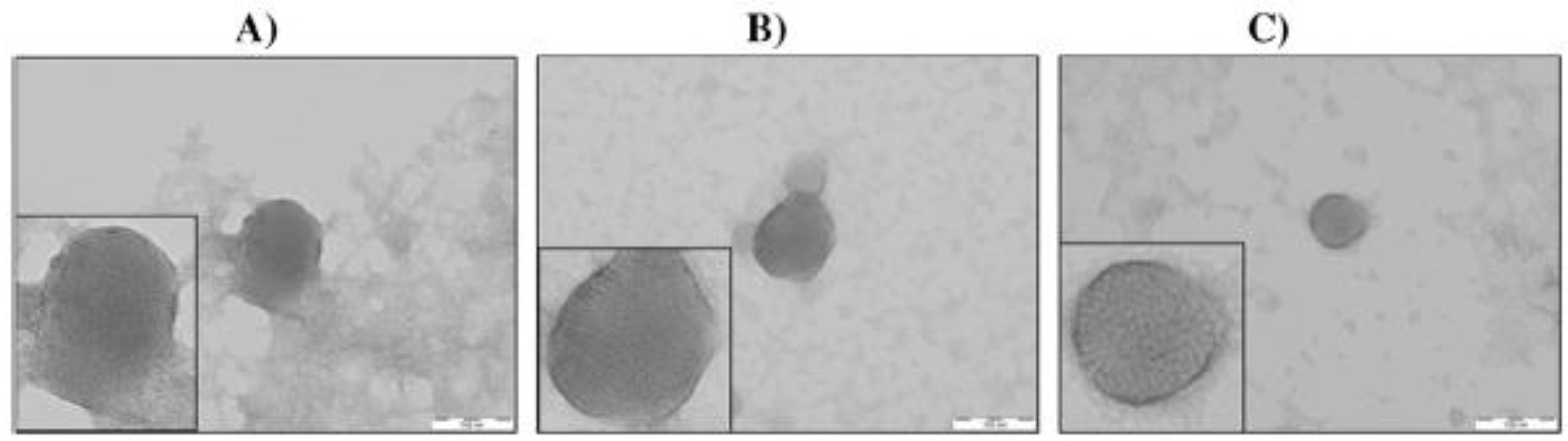 Nanomaterials 07 00094 g006 550