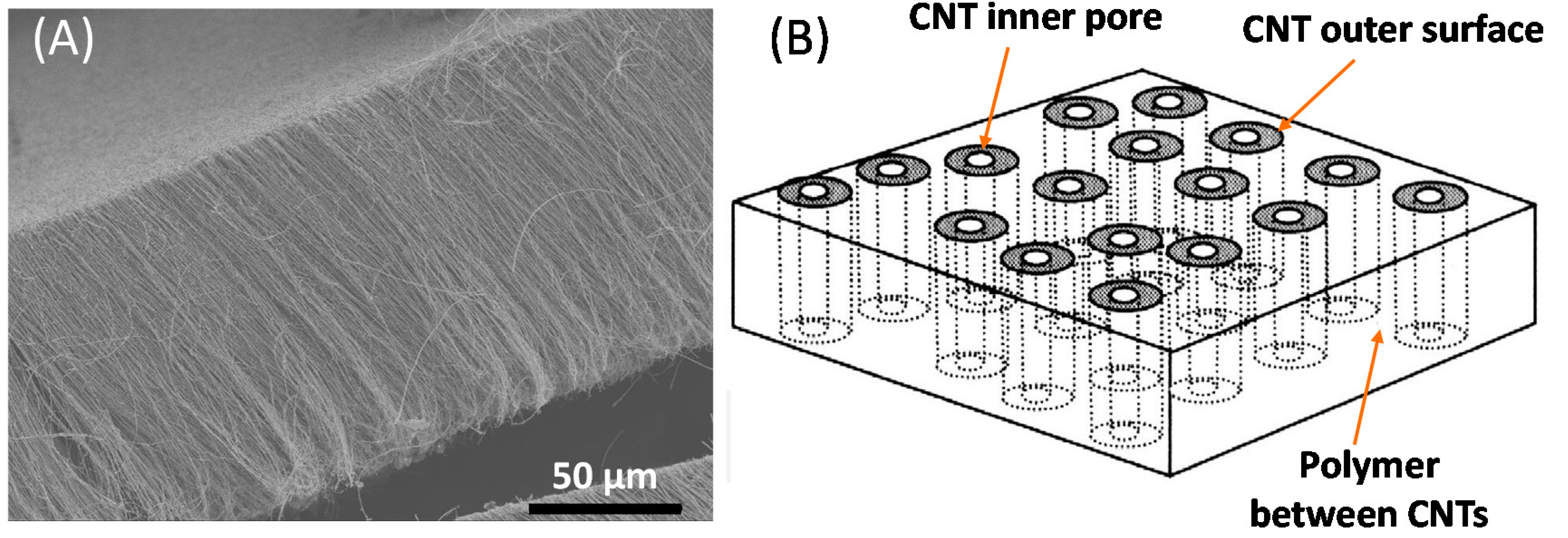 Nanomaterials 07 00099 g003