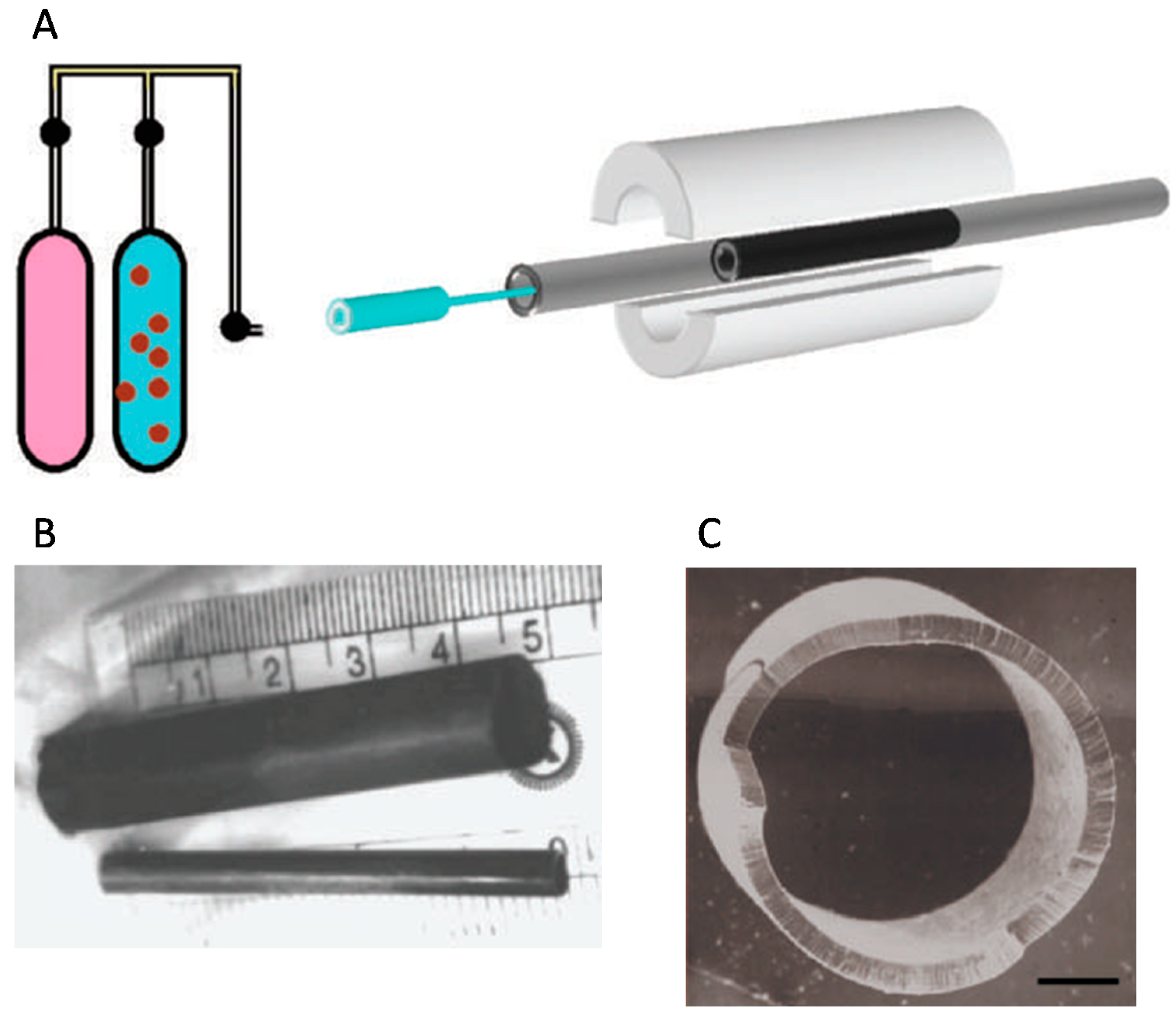 Nanomaterials 07 00099 g004