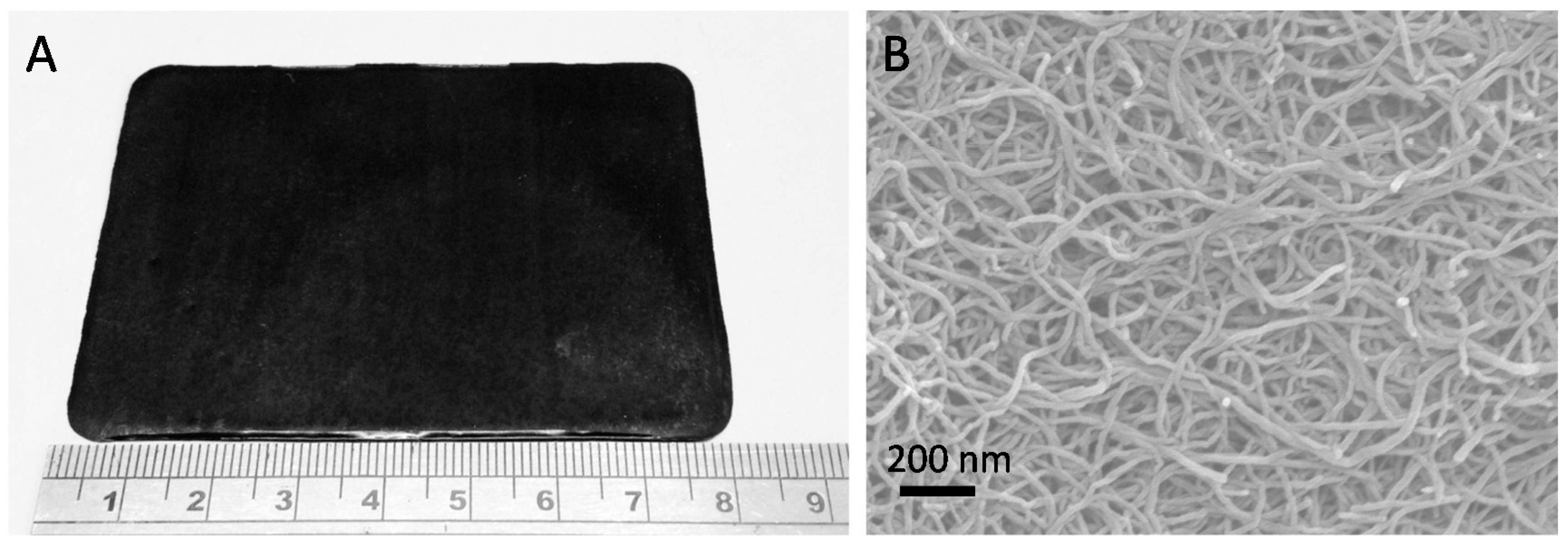 Nanomaterials 07 00099 g005