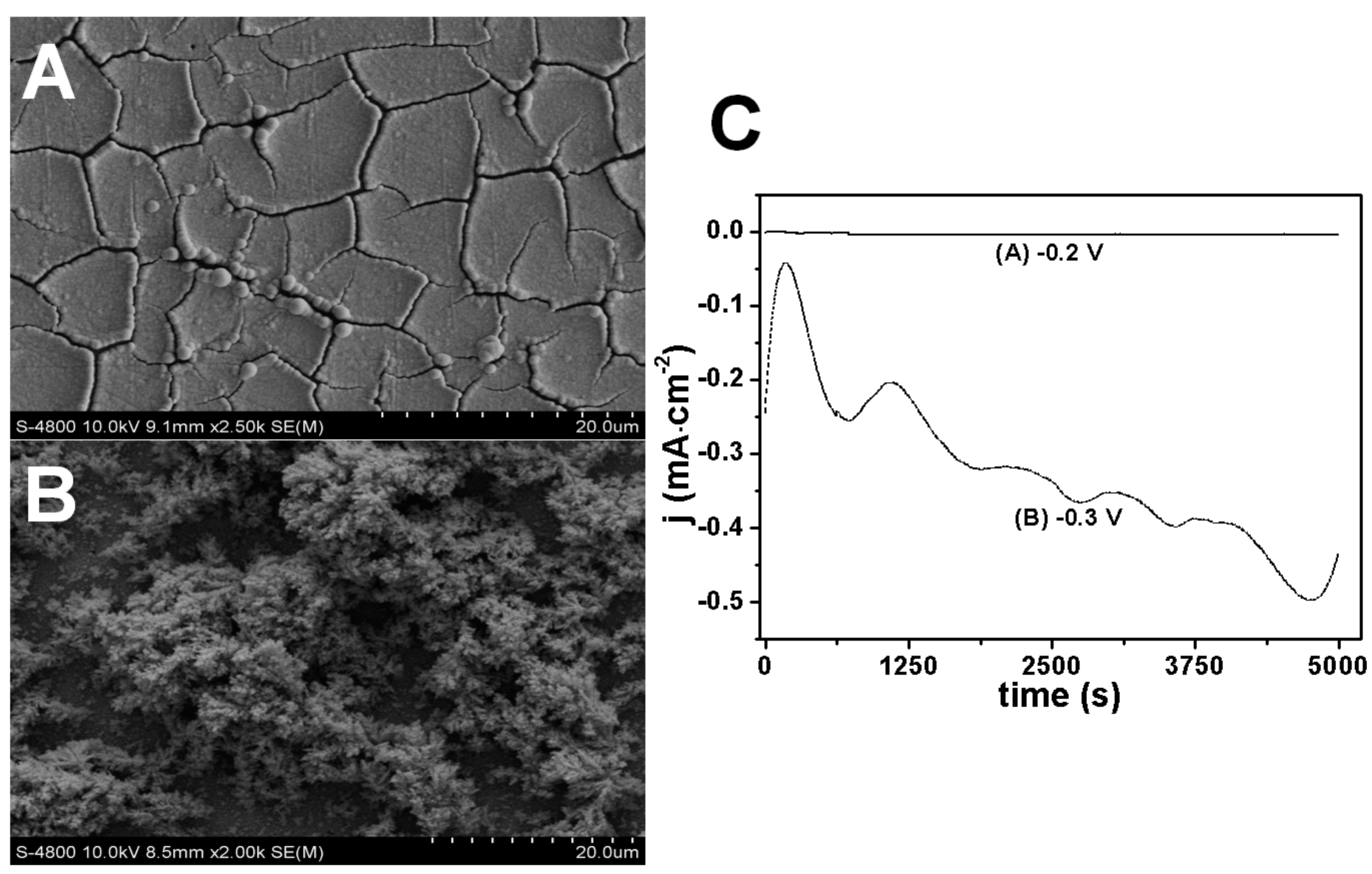 Nanomaterials 07 00103 g005