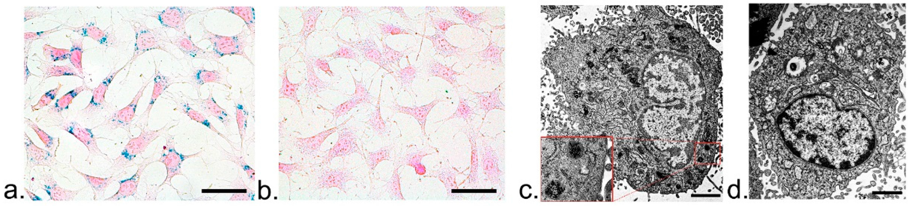 Nanomaterials 07 00107 g004 550