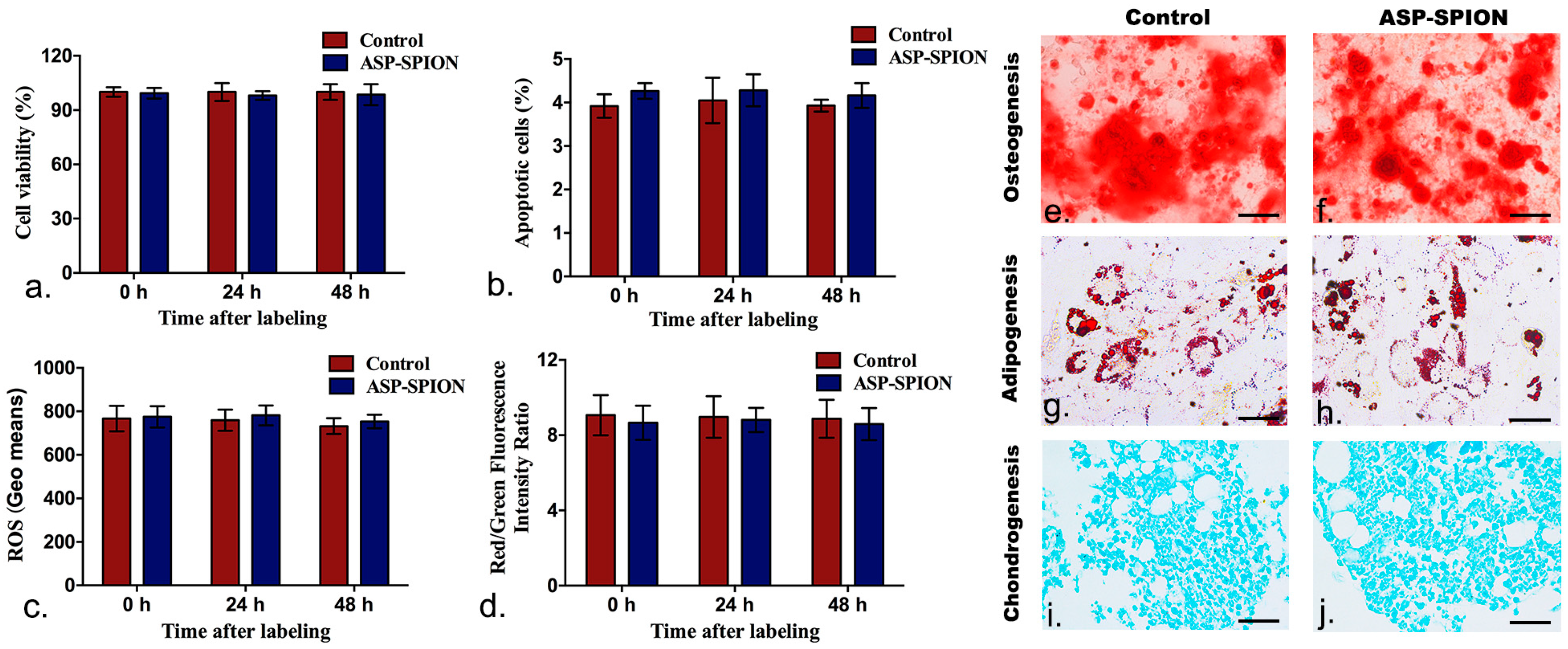 Nanomaterials 07 00107 g005 550