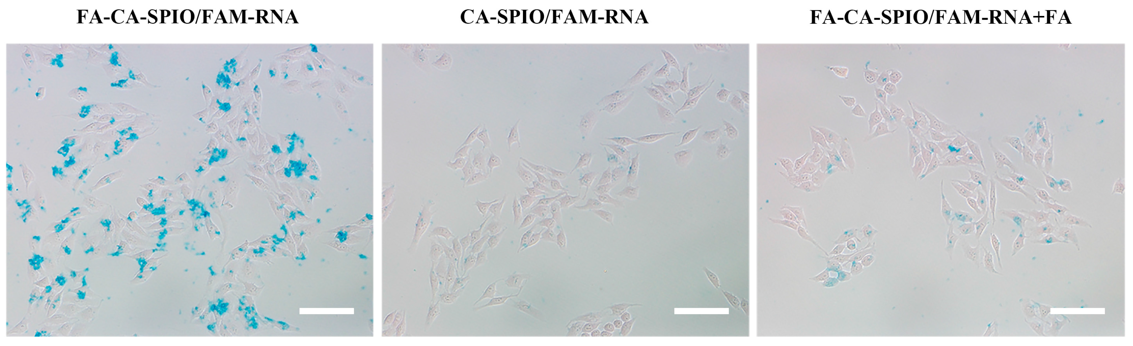 Nanomaterials 07 00110 g003 550