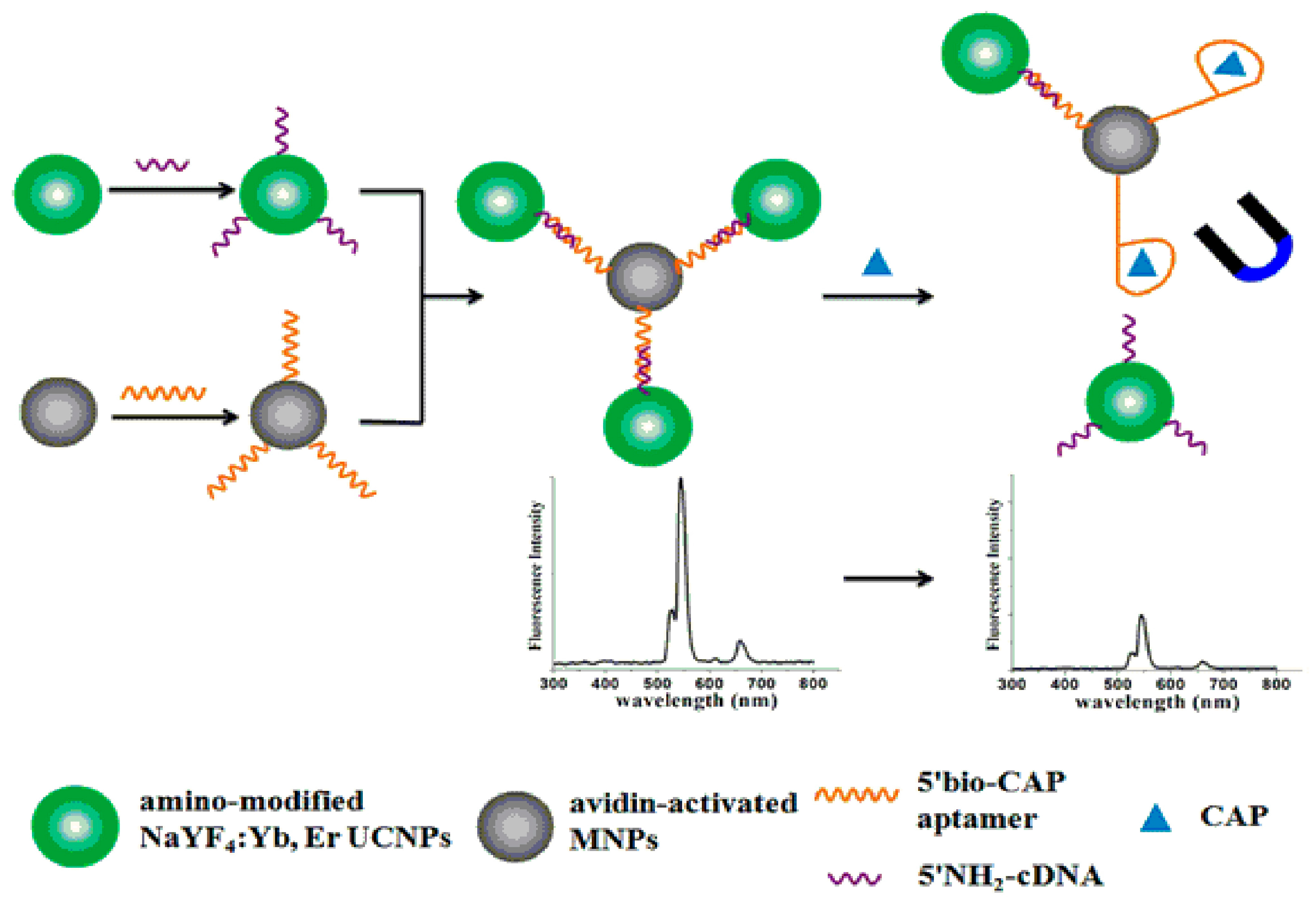 Nanomaterials 07 00119 g005