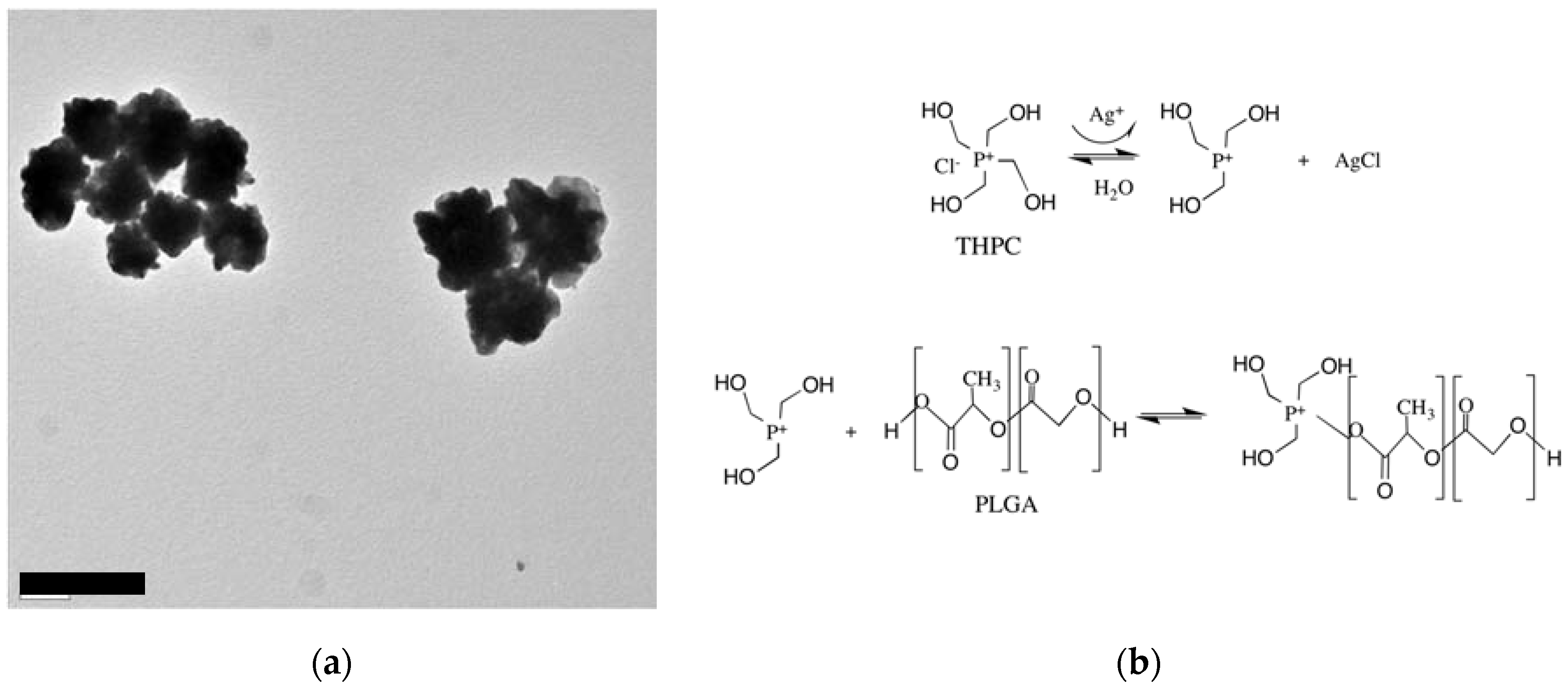 Nanomaterials 07 00127 g001