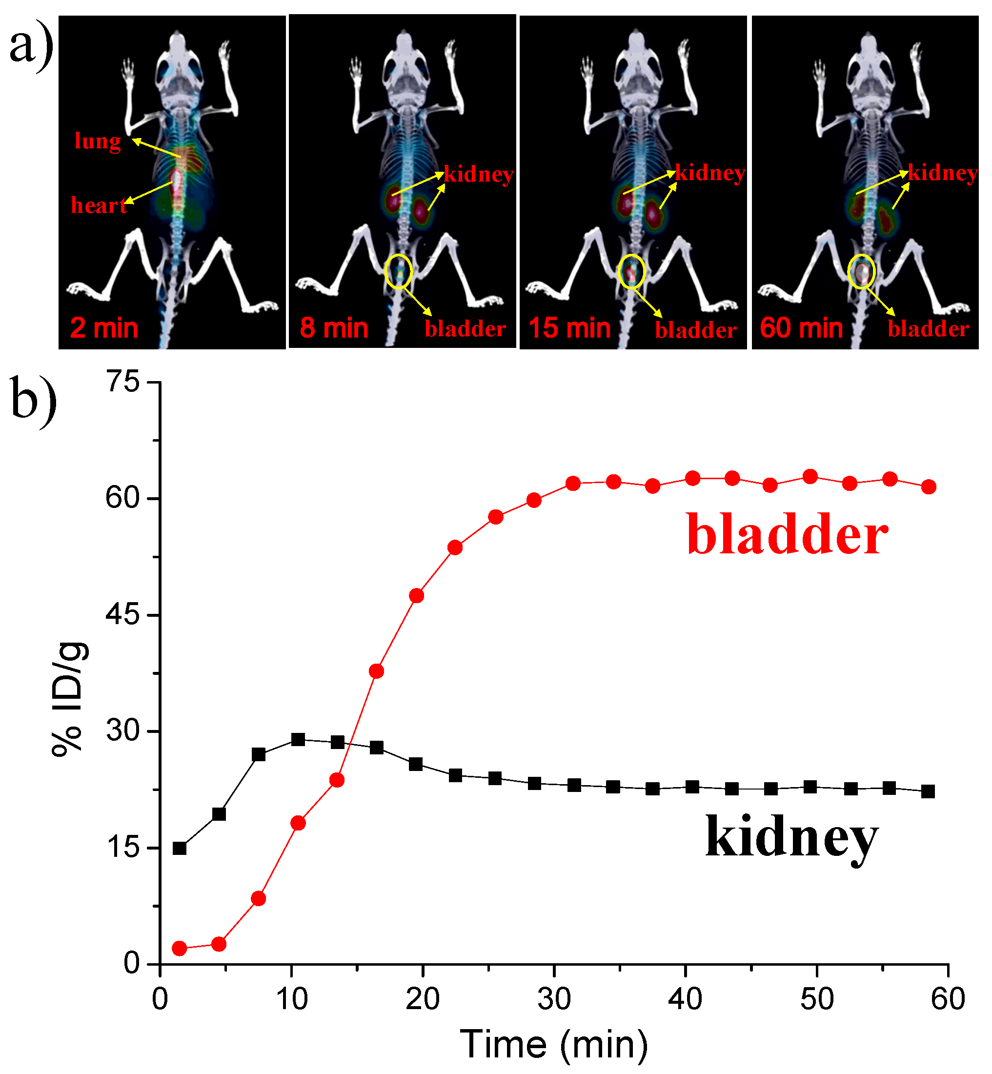 Nanomaterials 07 00132 g007 550