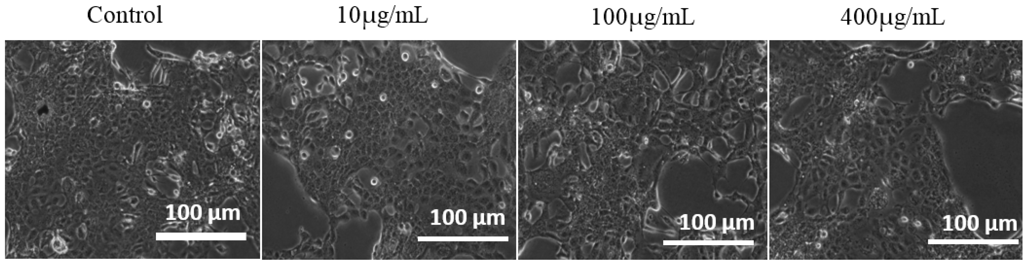 Nanomaterials 07 00138 g008 550