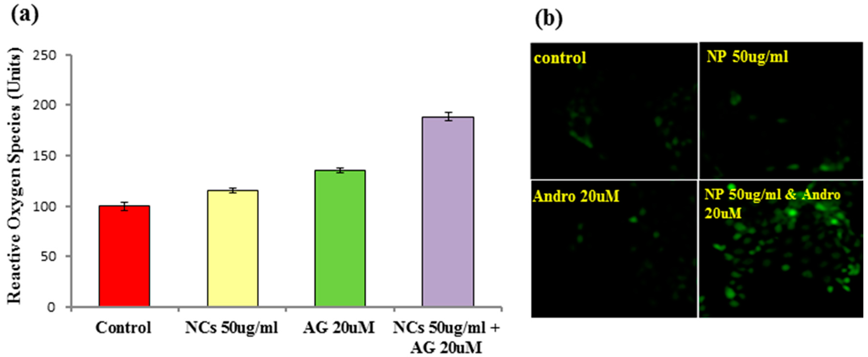 Nanomaterials 07 00138 g011 550