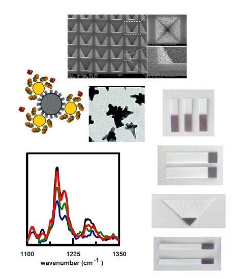 Nanomaterials | Free Full-Text | Review of SERS Substrates for ...