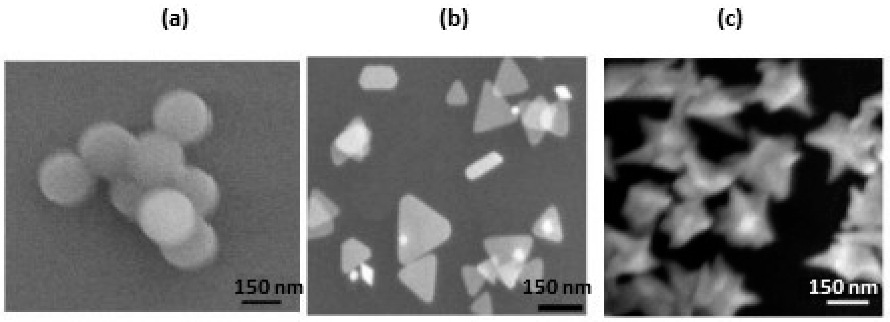 Nanomaterials 07 00142 g001 550
