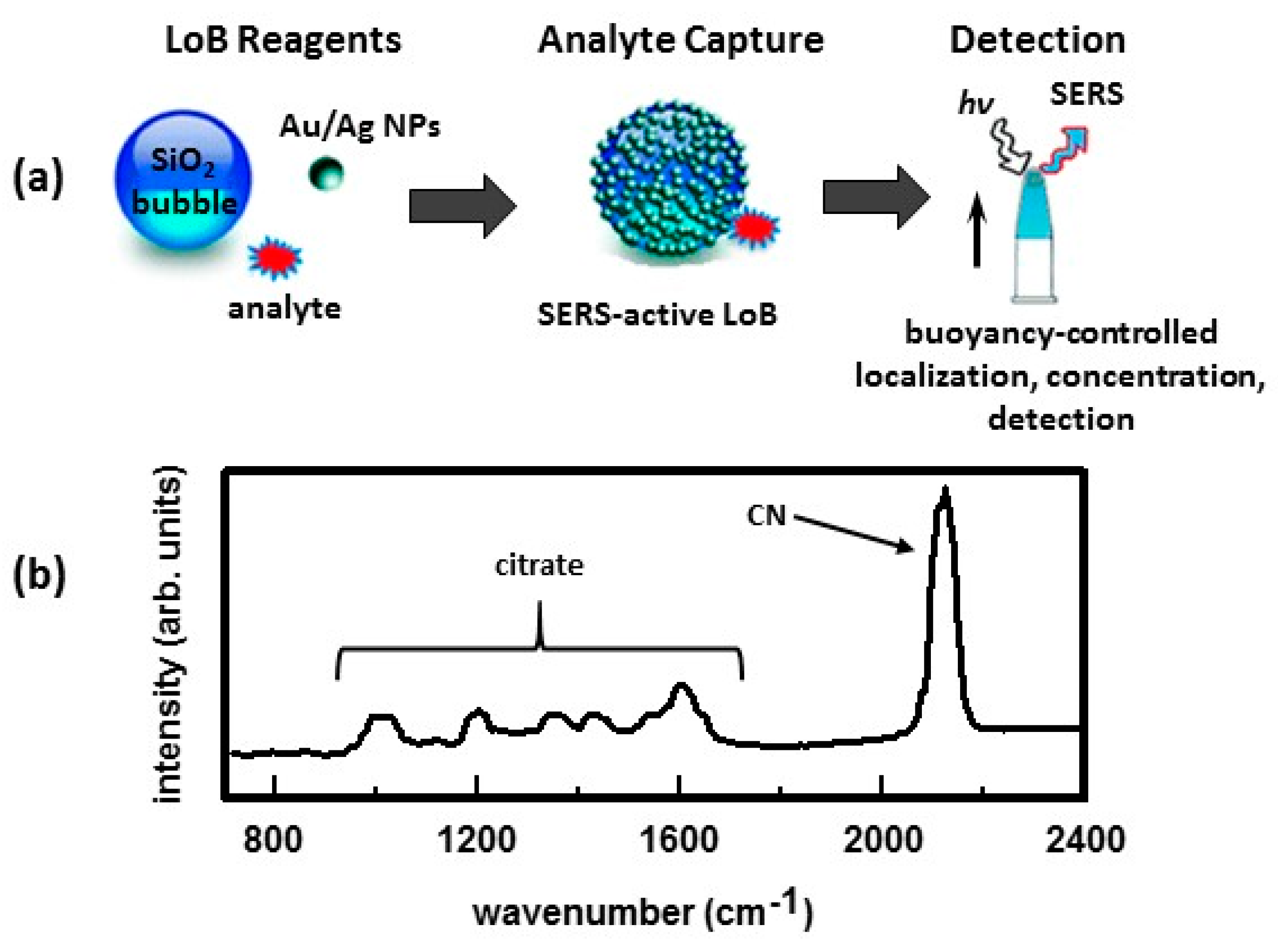 Nanomaterials 07 00142 g015 550