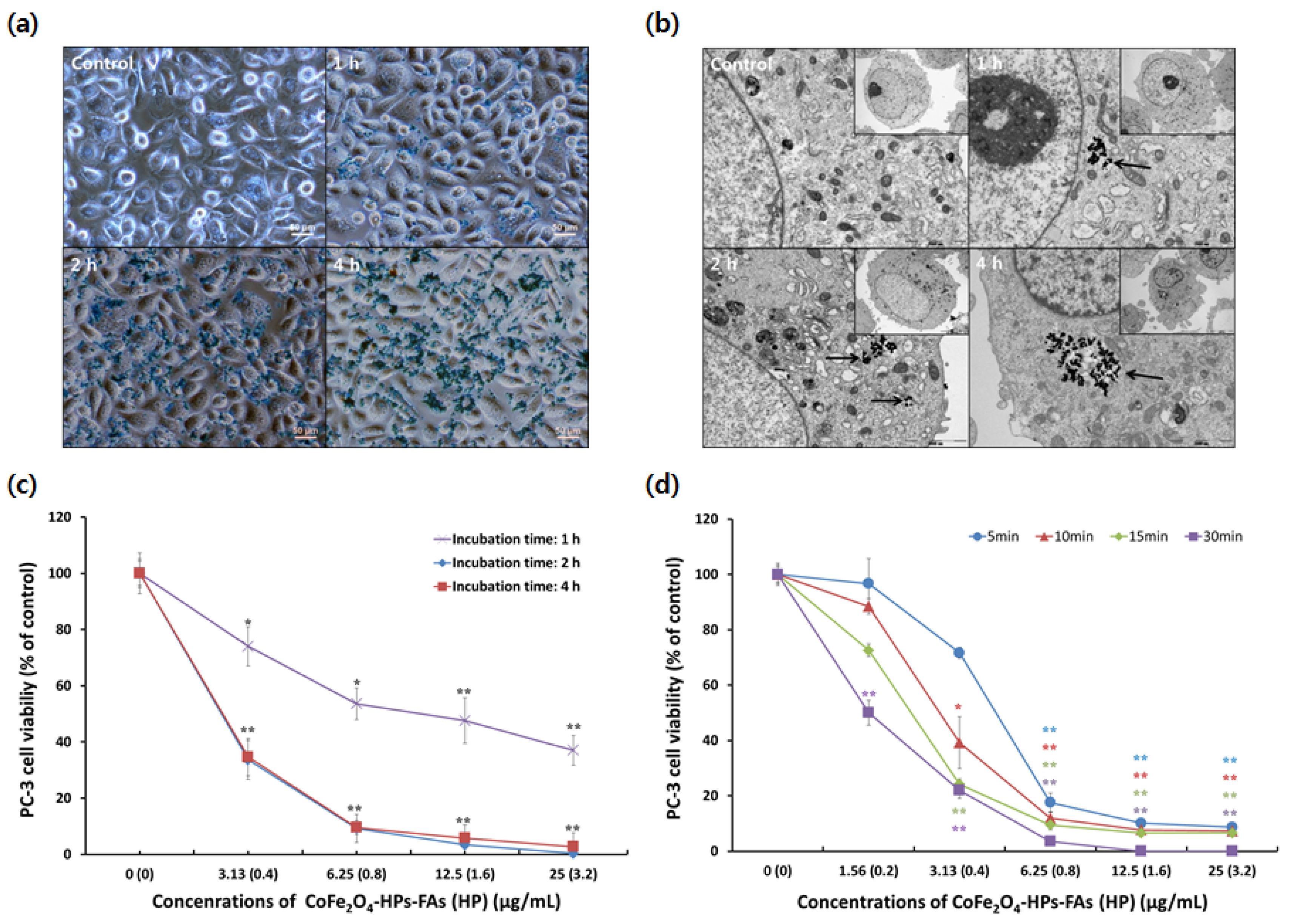 Nanomaterials 07 00144 g005 550