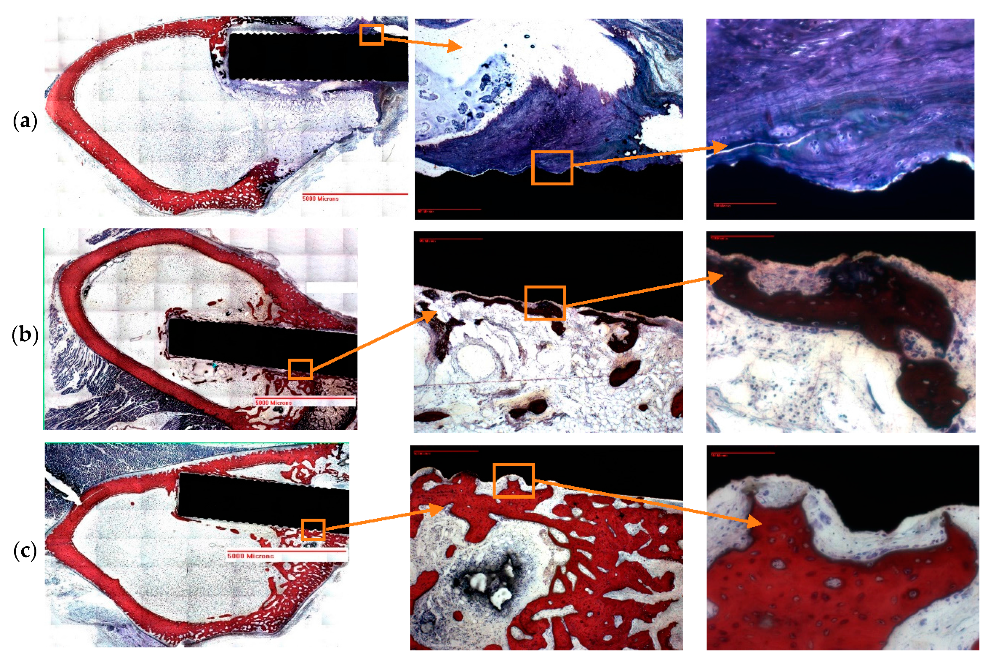 Nanomaterials 07 00145 g006 550
