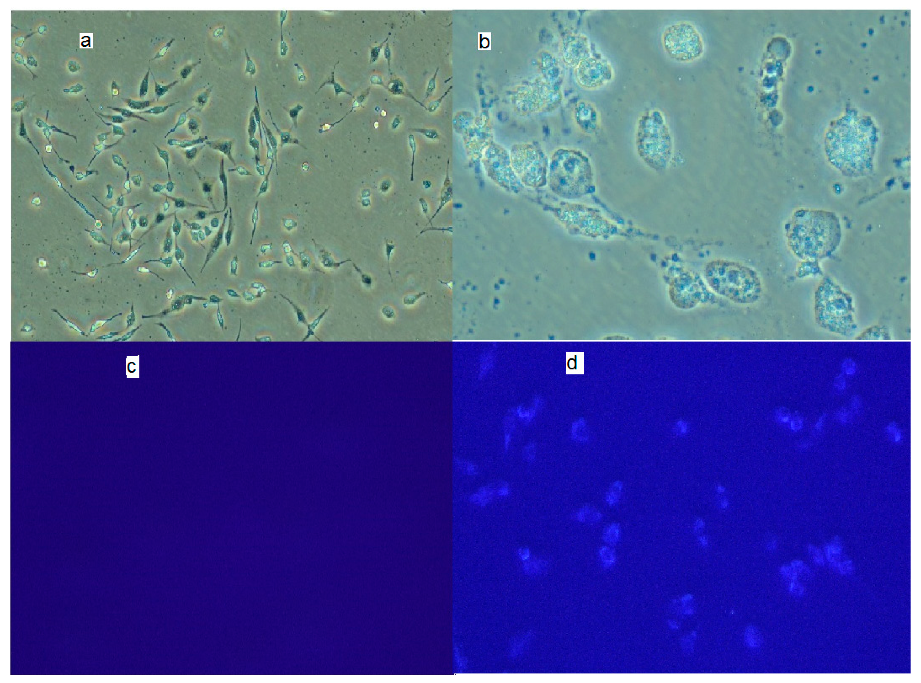 Nanomaterials 07 00163 g003