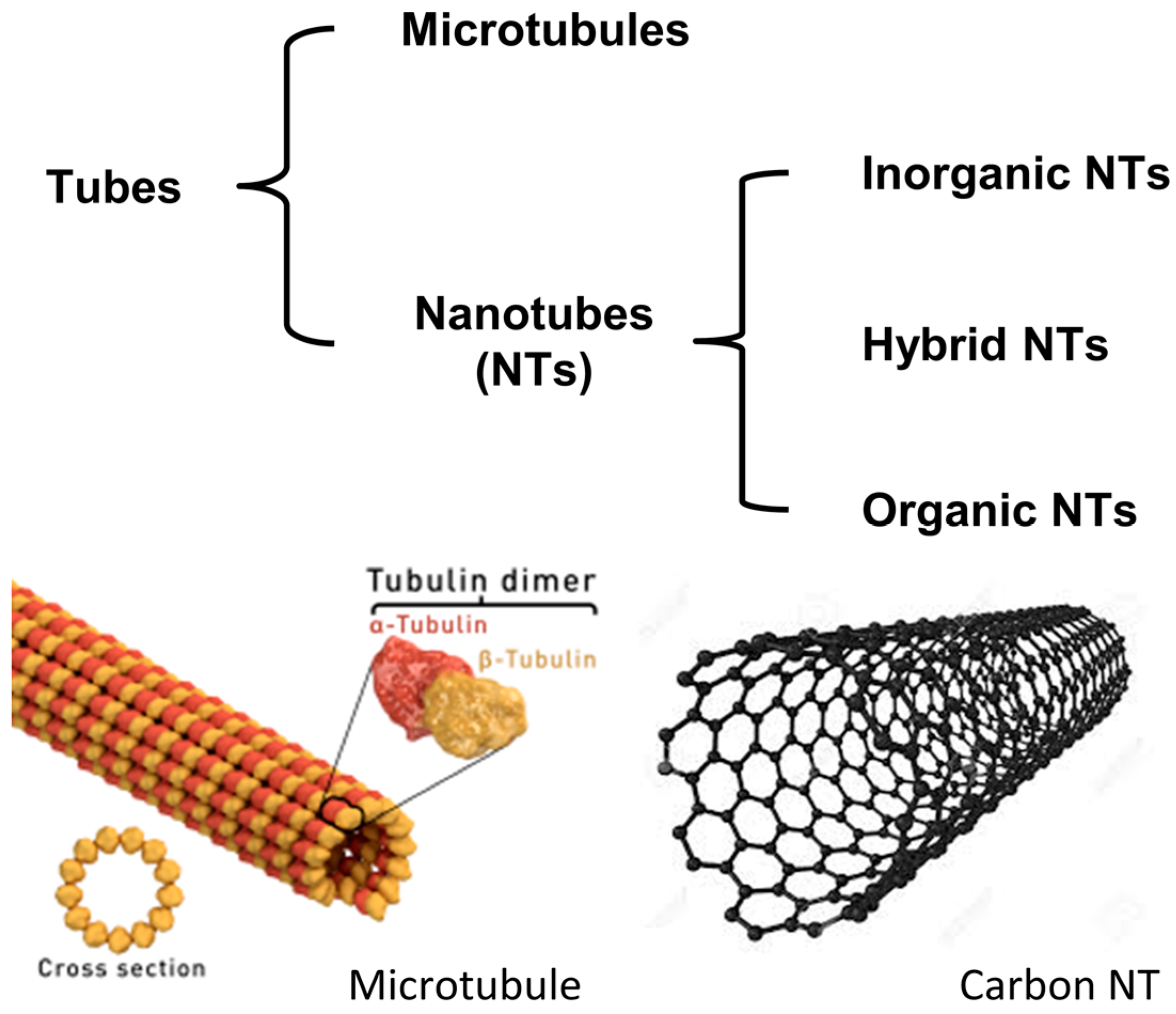 Nanomaterials 07 00167 g001