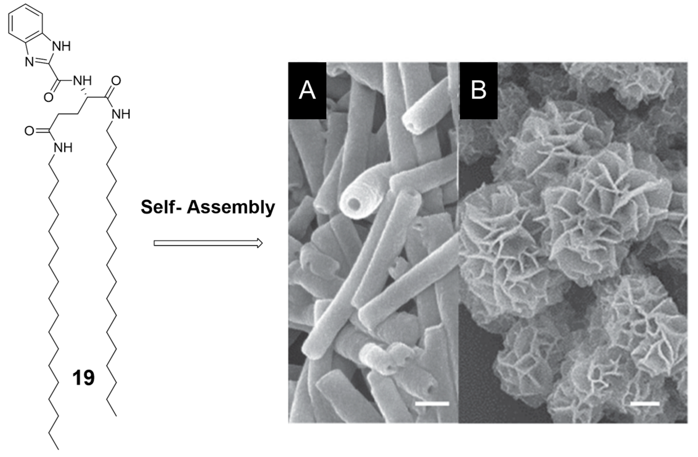 Nanomaterials 07 00167 g016
