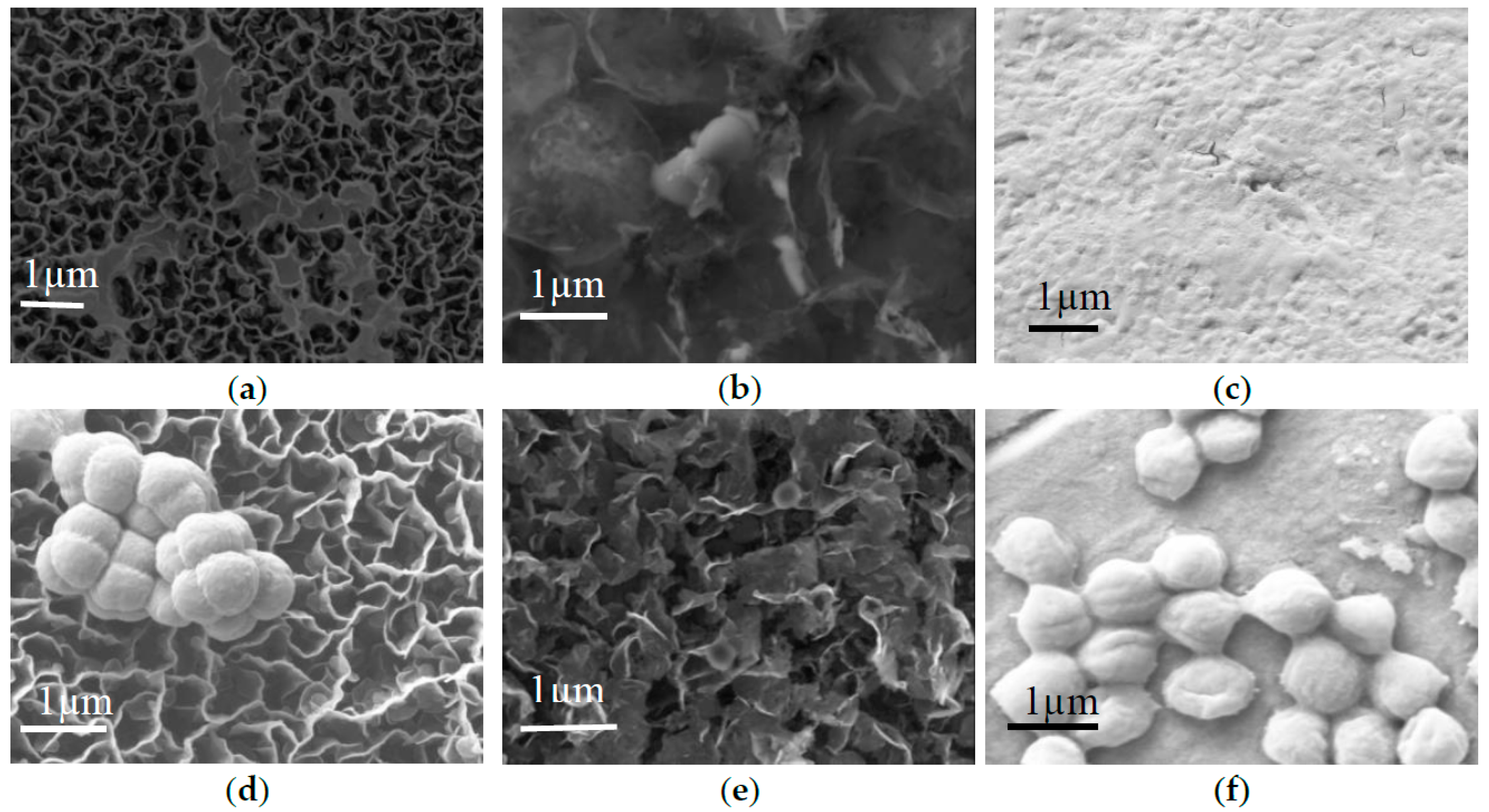 Nanomaterials 07 00170 g004